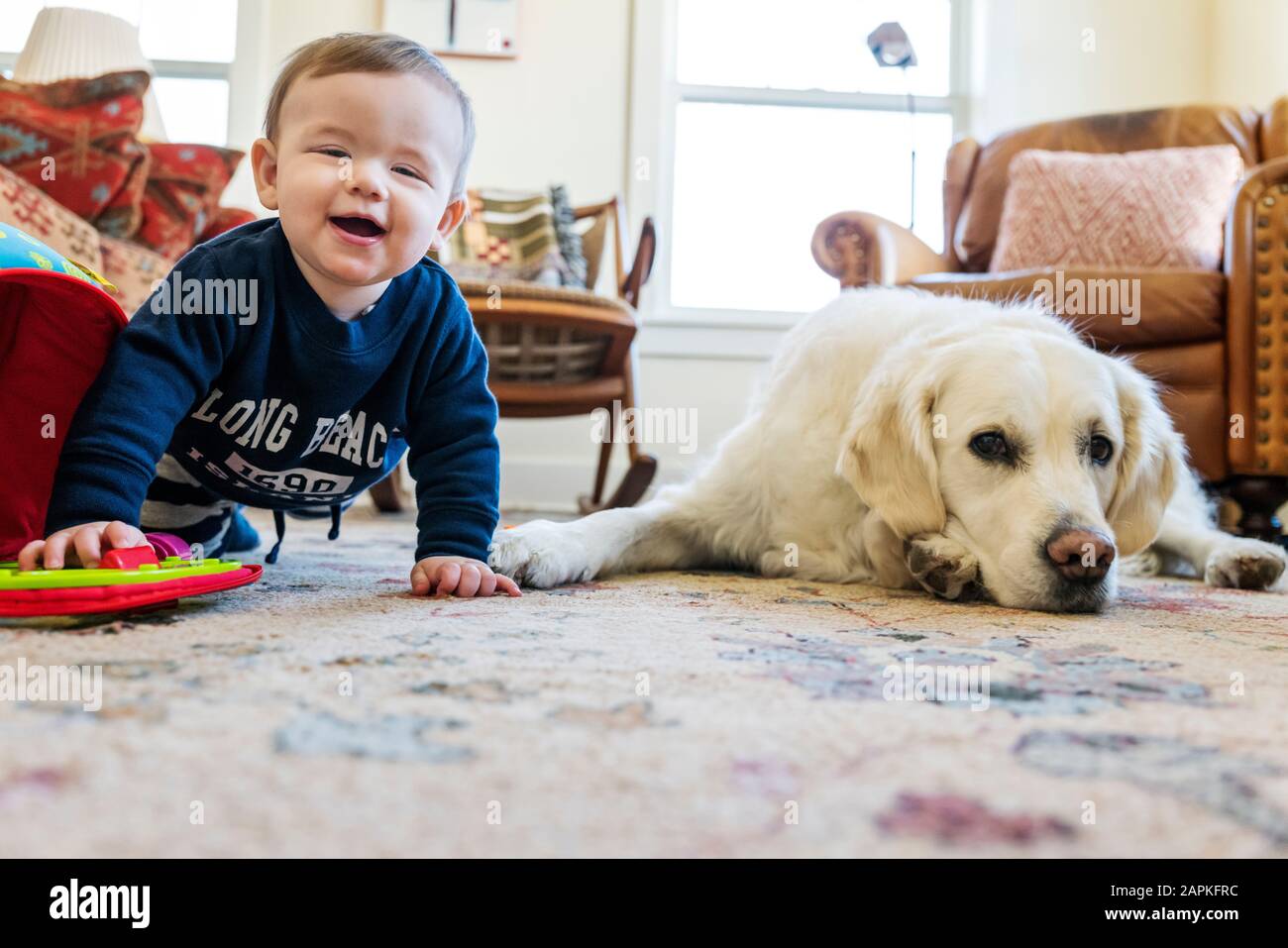 Bebe Garcon De Sept Mois Rampant Avec Chien Golden Retriever De Couleur Platine Photo Stock Alamy Bebe Garcon De Sept Mois Rampant Avec Chien Golden Retriever De Couleur Platine Photo Stock Alamy