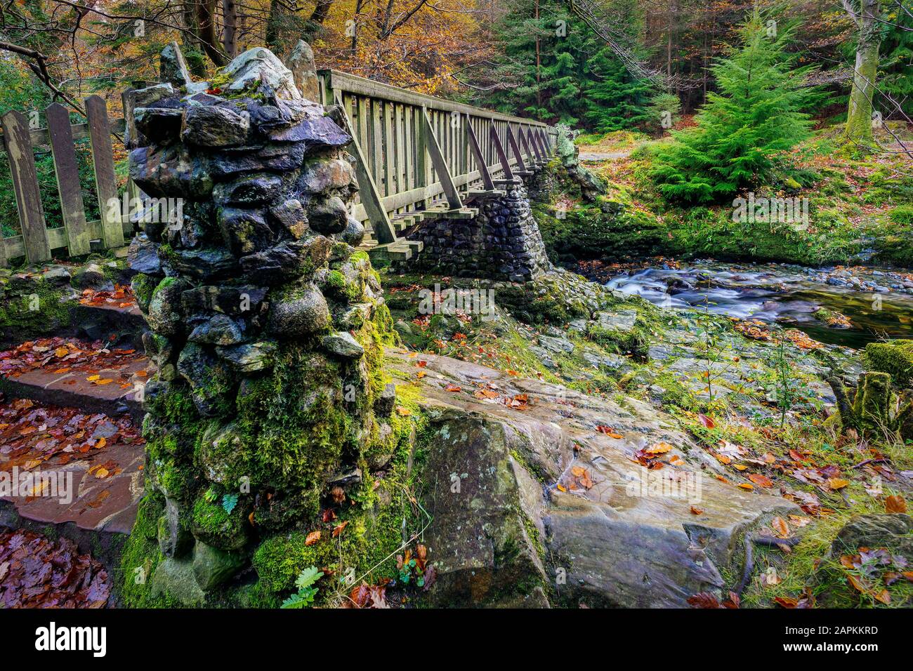 Piliers en pierre et marches d'un vieux pont en bois avec des roches mossy dans le parc forestier de Tollymore en automne, Newcastle, County Down, Irlande du Nord Banque D'Images