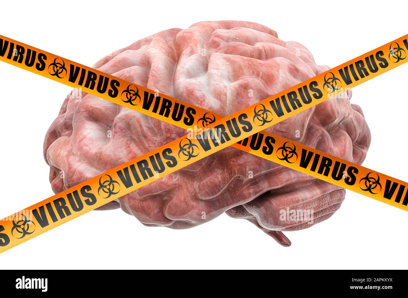 Concept de virus cérébraux, rendu tridimensionnel isolé sur fond blanc Banque D'Images