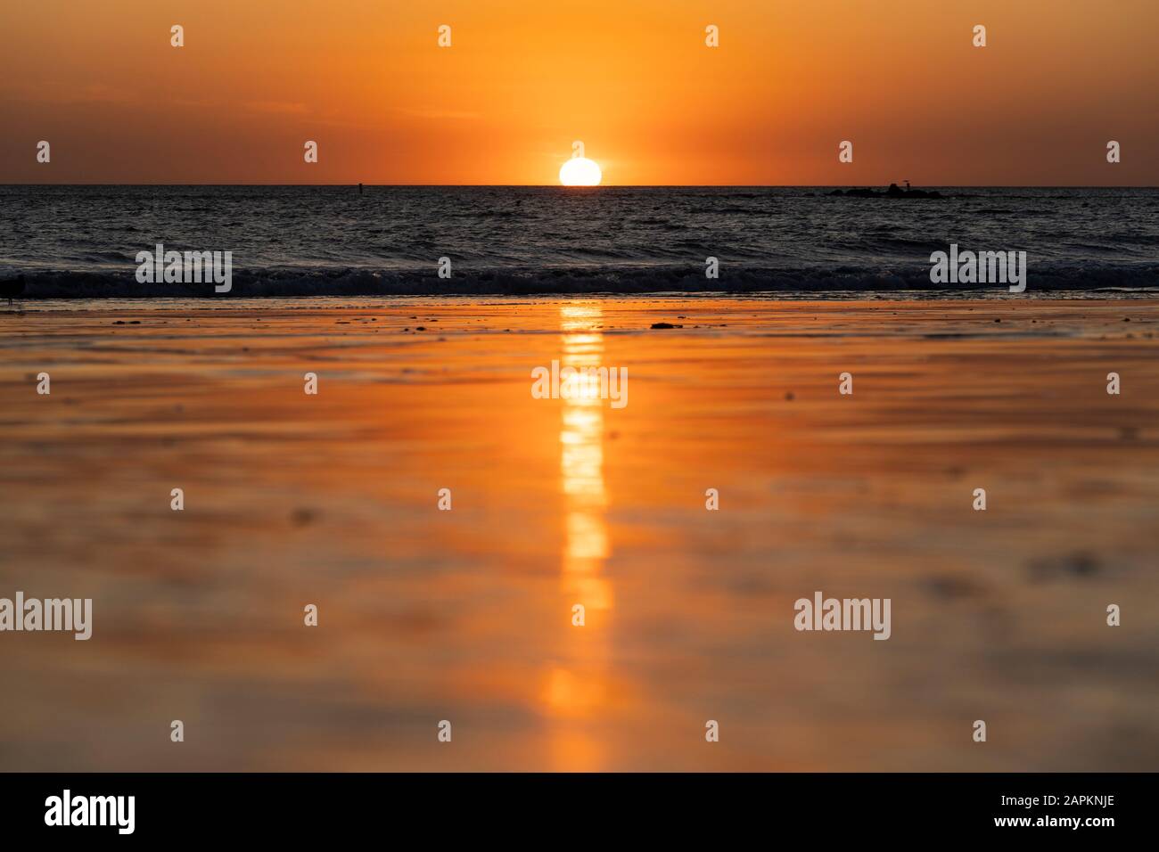 USA, Californie, Santa Monica, vue sur la surface de la plage de sable côtière au coucher du soleil avec une ligne d'horizon claire sur l'océan Pacifique en arrière-plan Banque D'Images