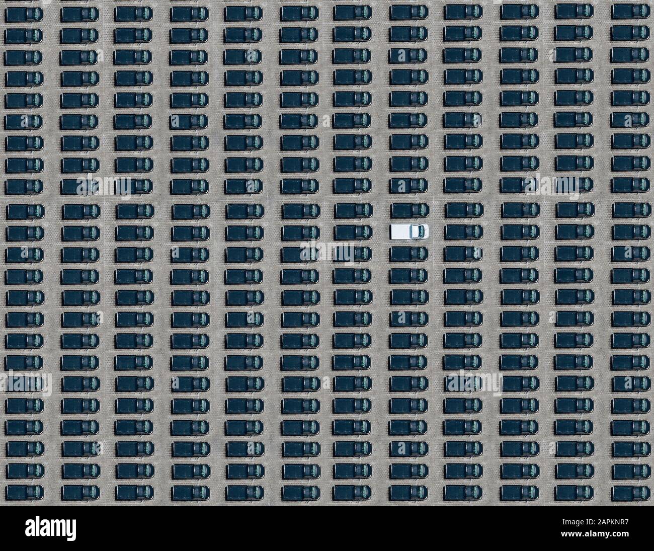 Vue aérienne d'une voiture blanche unique garée entre des voitures exclusivement noires Banque D'Images