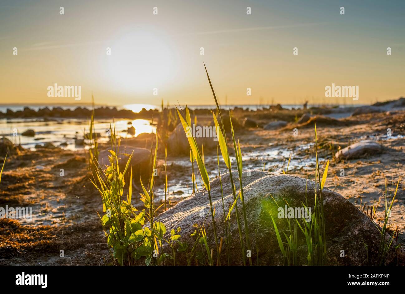 Allemagne, Mecklembourg-Poméranie-Occidentale, île de Poel, Timmendorf, plage au coucher du soleil Banque D'Images