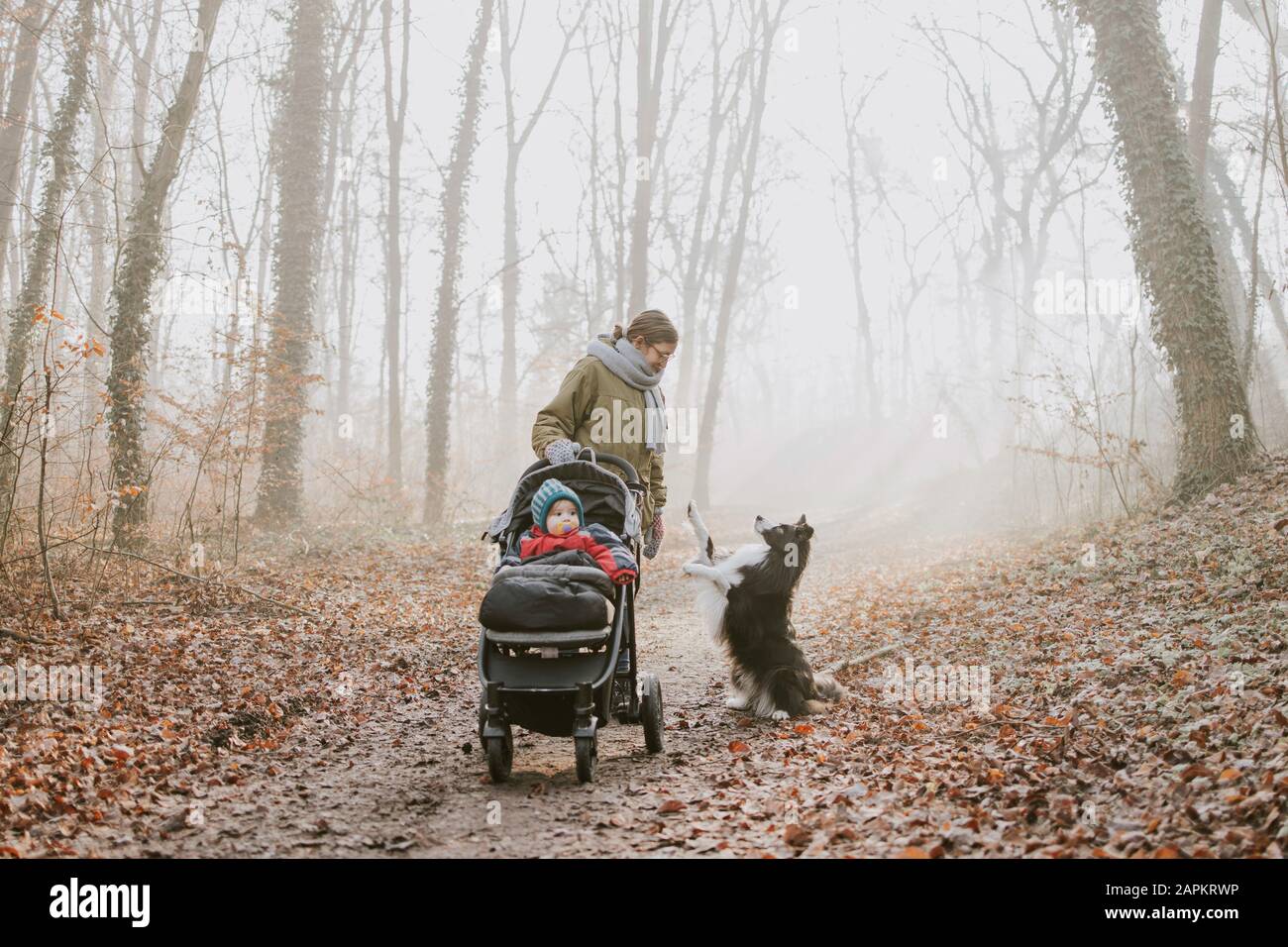 Mère avec enfants et bordure de collie pendant la promenade en forêt en automne Banque D'Images