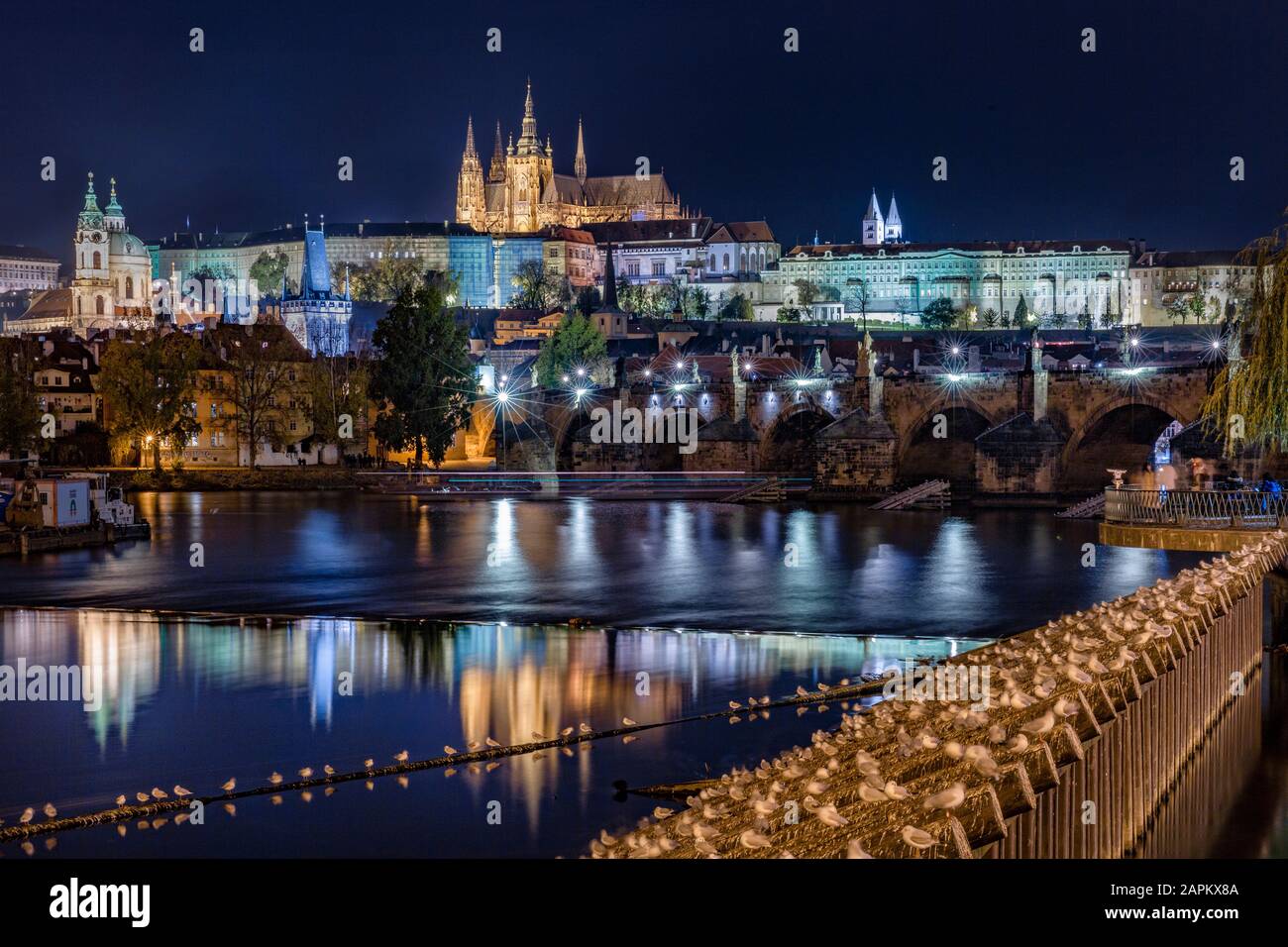 République tchèque, Prague, Château de Prague et bâtiments environnants vus du pont Charles la nuit Banque D'Images