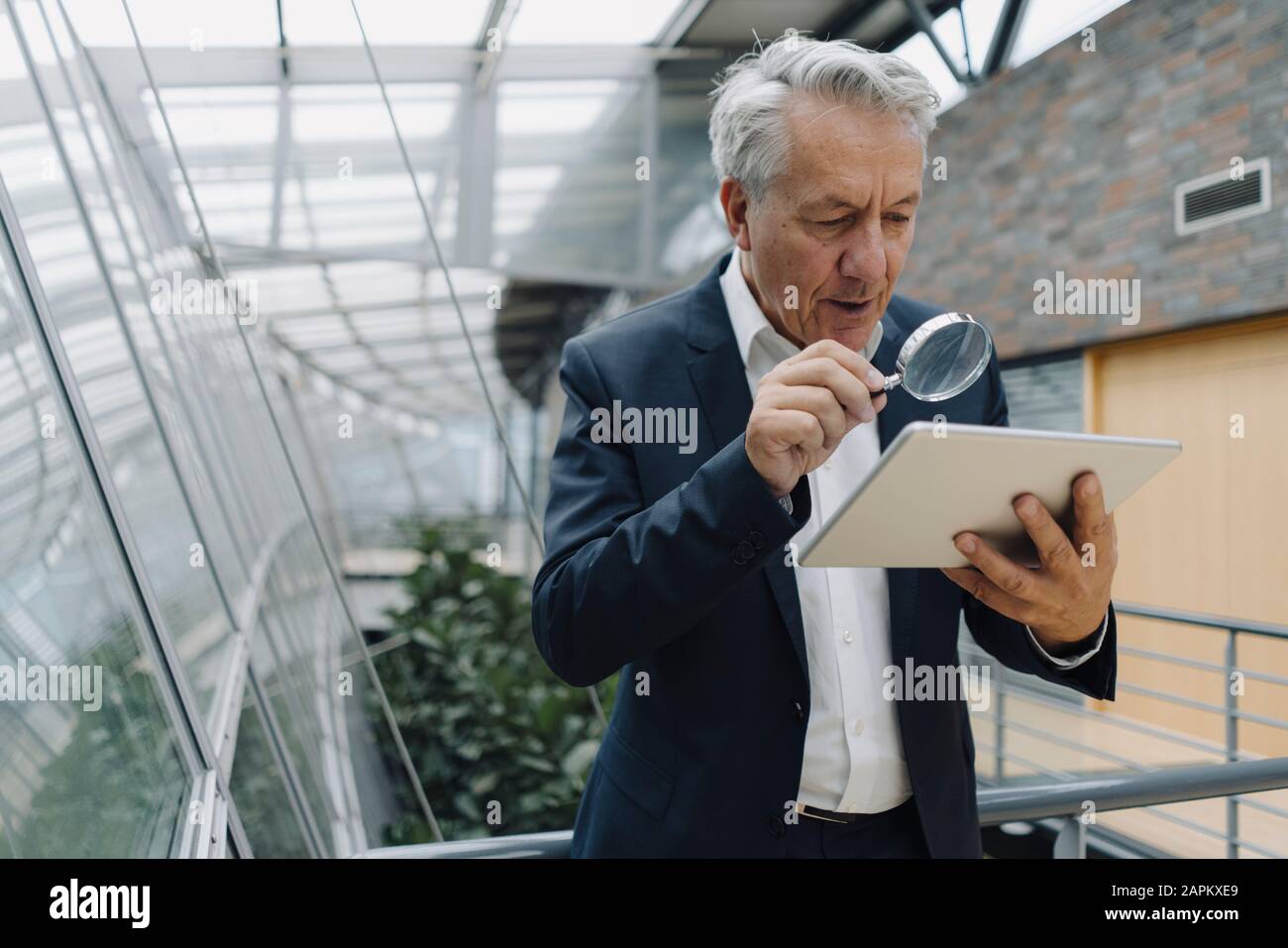 Homme d'affaires senior avec une tablette de lecture en loupe au bureau Banque D'Images