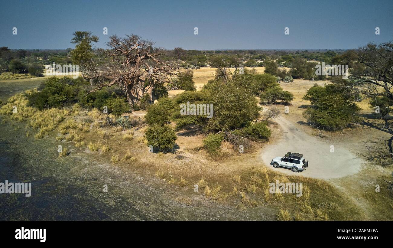 Vue aérienne d'une jeep blanche isolée sur une piste sale et d'un grand arbre Baobab, parc national de Bwabwata, Namibie Banque D'Images