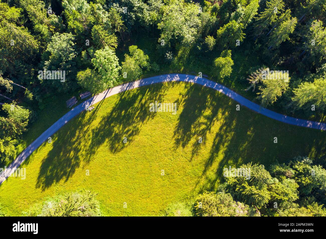 Weg Durch Wald Und Wiese Von Oben Bei Bernried Am Starnberger See Luftbild Oberbayern Bayern Allemagne Photo Stock Alamy