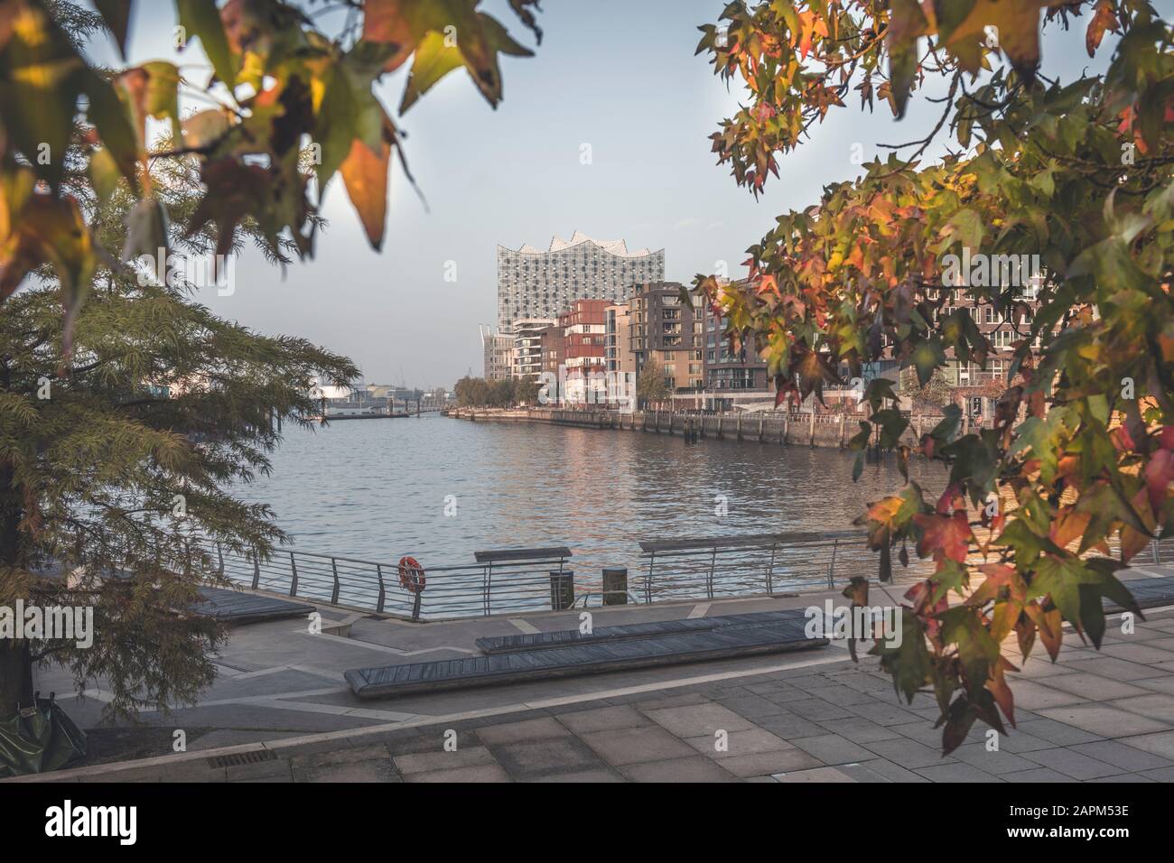 L'Allemagne, Hambourg, Marco Polo terrasses en automne avec la rivière Elbe et Elbphilonie en arrière-plan Banque D'Images