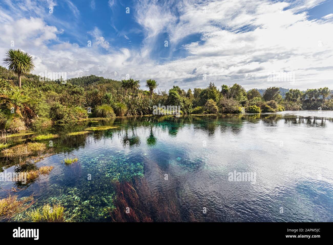 Nouvelle-Zélande, région de Tasman, Takaka, vue panoramique sur te Waikoropupu Springs Banque D'Images