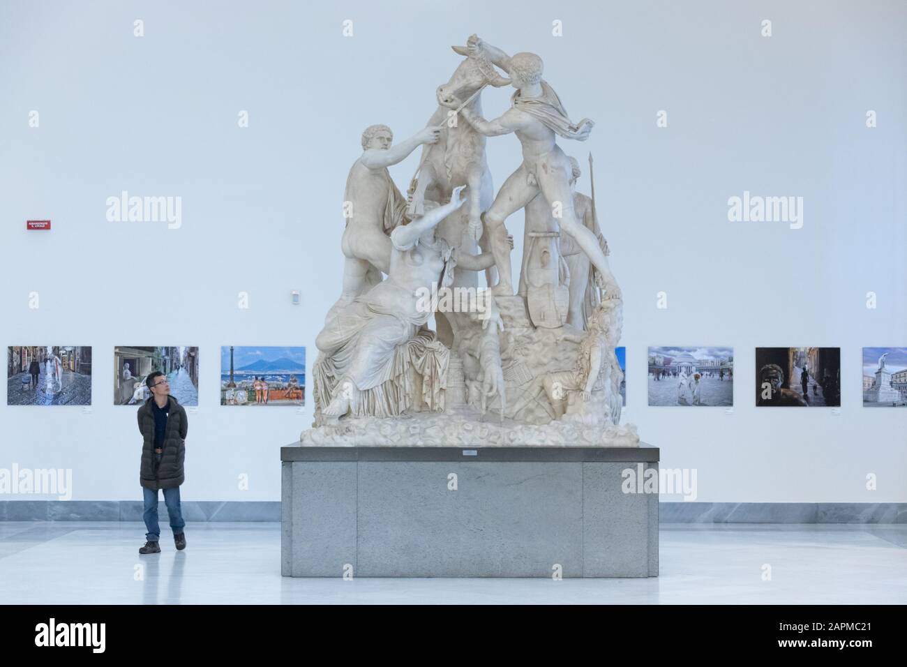 Farnese Bull, Musée Archéologique National, Naples, Italie Banque D'Images