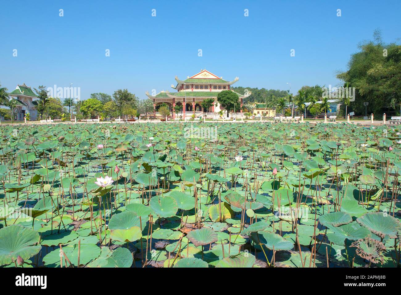 Magnifique Pagode Dinh Nguyen Trung truc (Ganh Dau), Phu Quoc, Sud-Vietnam Banque D'Images