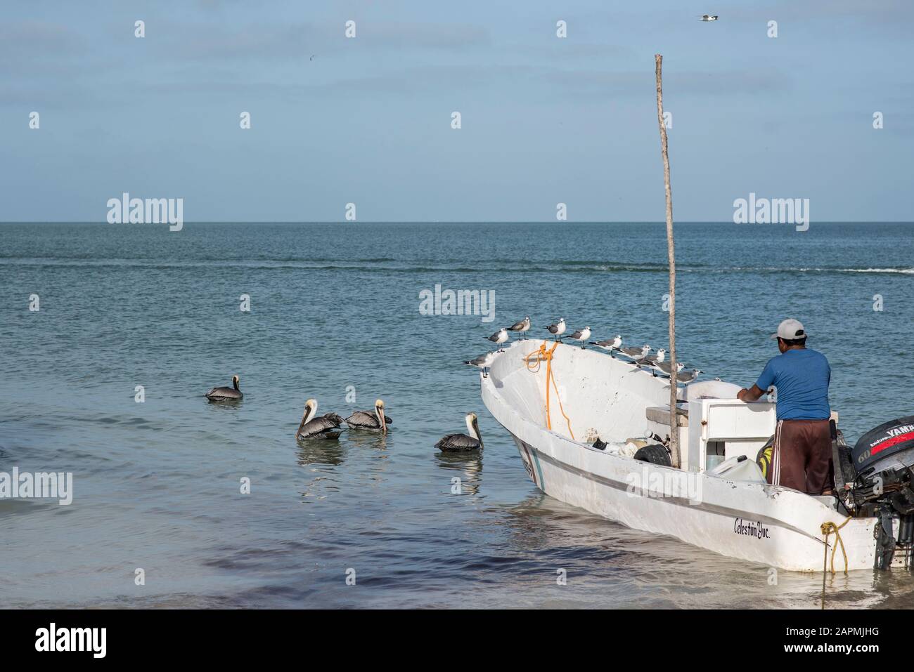 Pêcheurs de la ville de Celestun, Yucatan au Mexique Banque D'Images