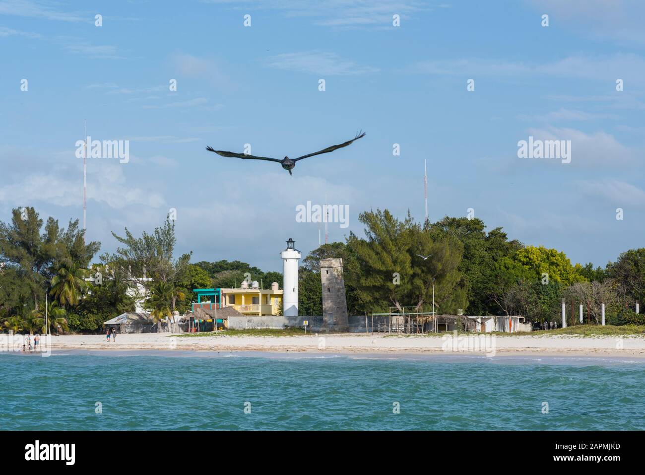 Pelican volant au-dessus de la petite ville de Celestun, Yucatan Banque D'Images