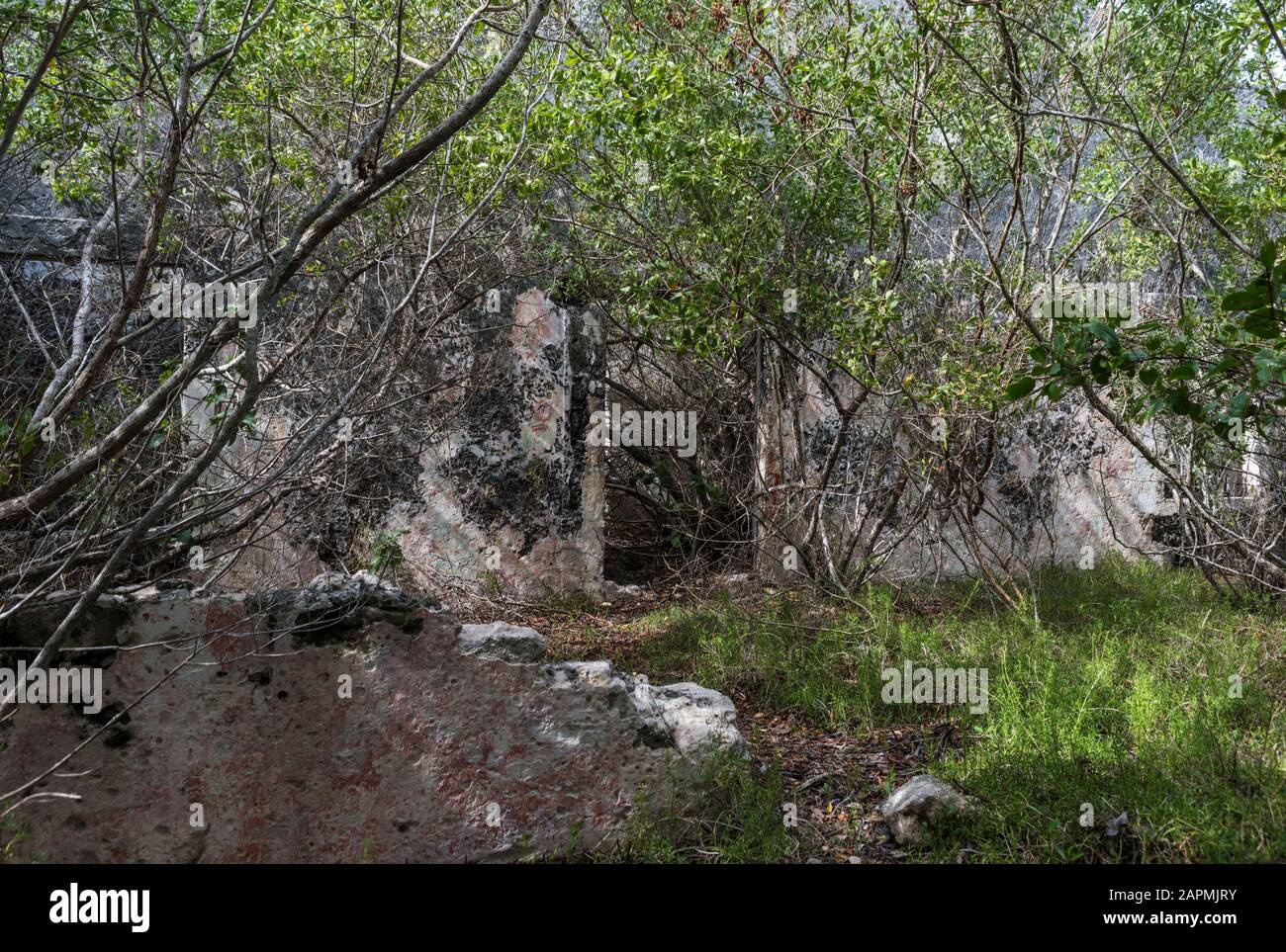 Anciens vestiges de l'Hacienda Real de Salinas, où ils utilisent pour produire du sel. À Celestun dans l'état de Yucatan, au Mexique Banque D'Images