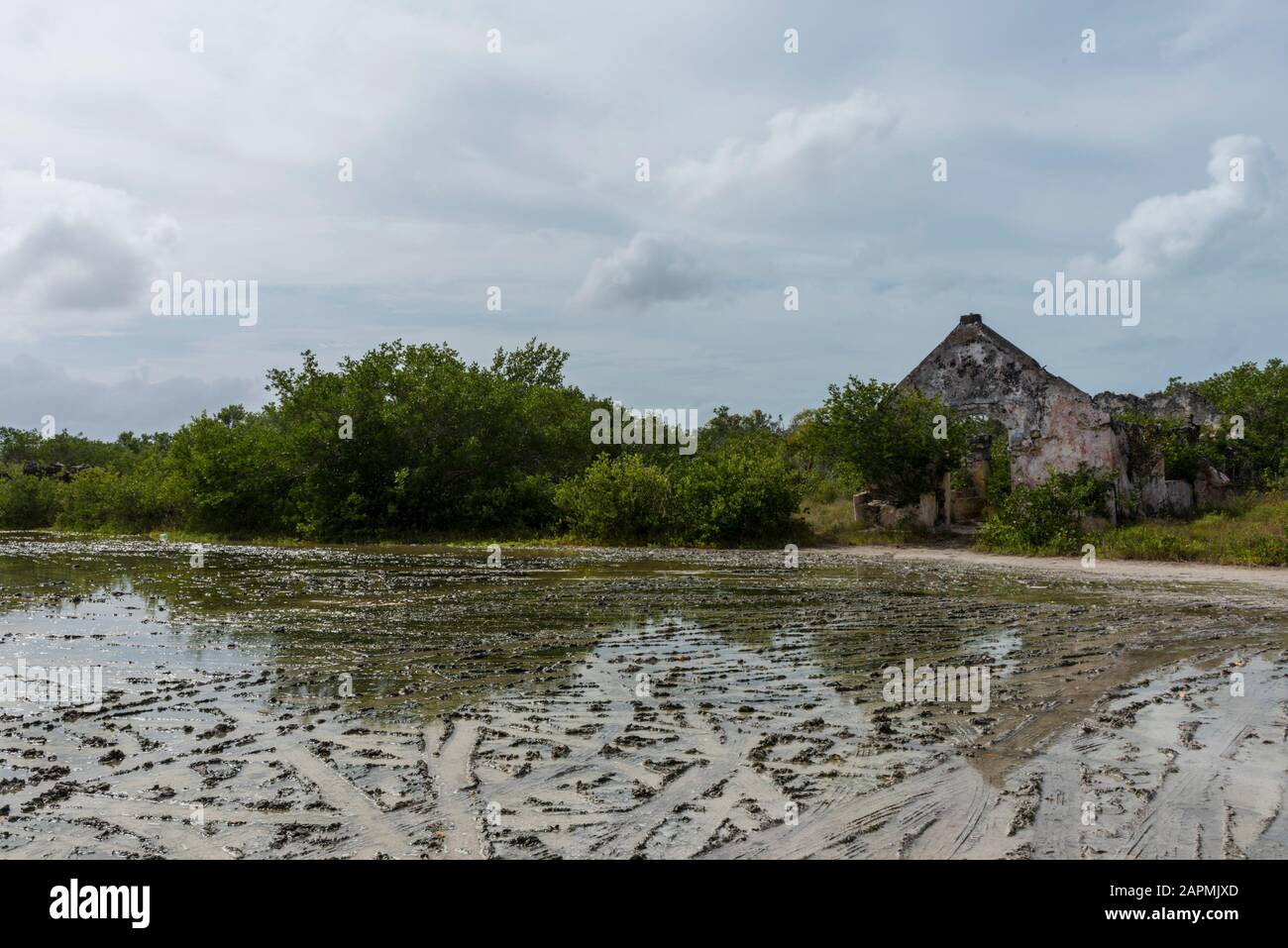 Anciens vestiges de l'Hacienda Real de Salinas, où ils utilisent pour produire du sel. À Celestun dans l'état de Yucatan, au Mexique Banque D'Images