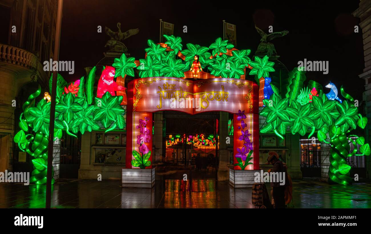 Anvers, Belgique - 23 12 2019: Le festival de lumière du livre de la jungle dans le jardin du zoo d'Anvers, histoire de livre restaurée Banque D'Images