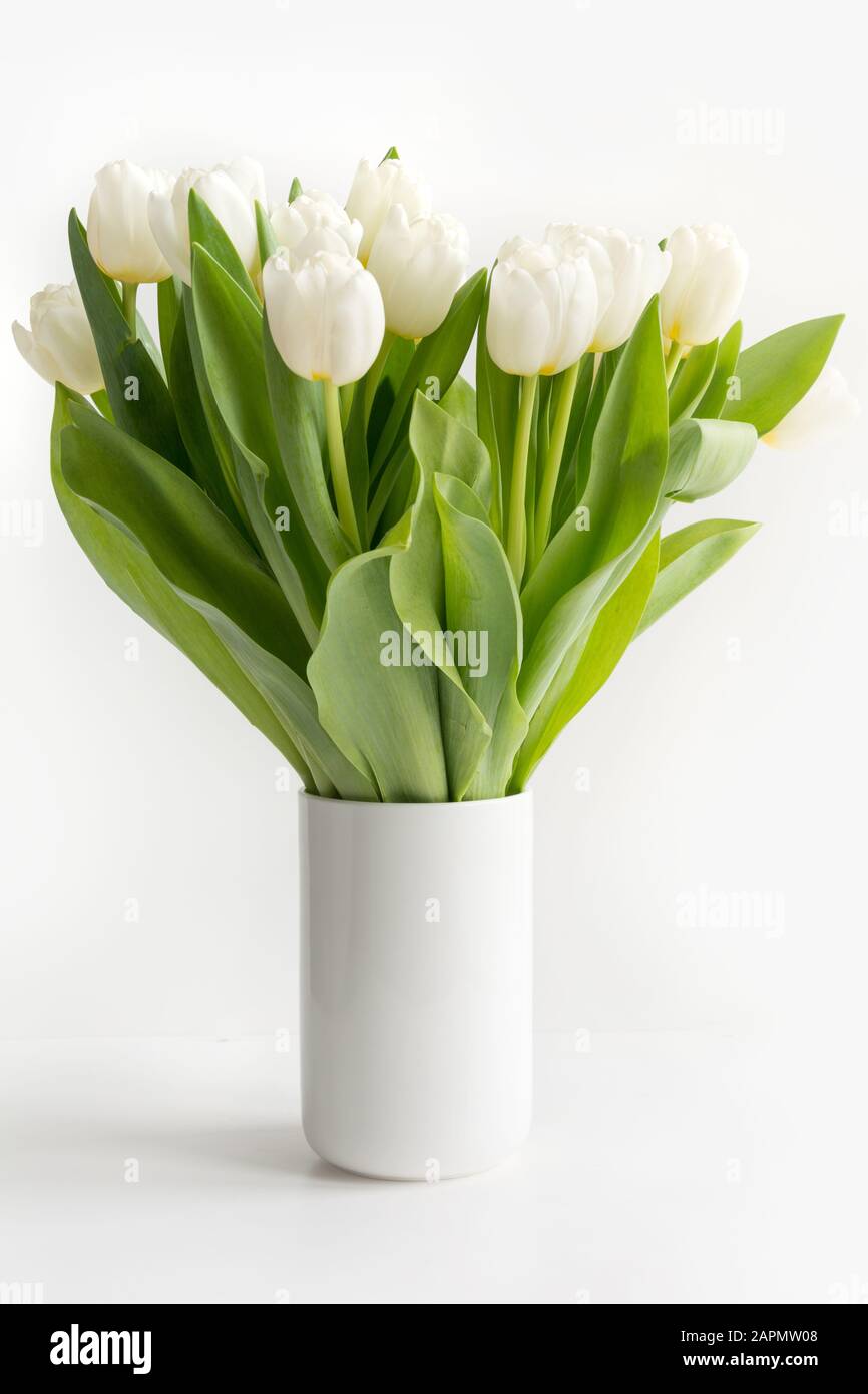 Bouquet de tulipe blanche dans un vase isolé sur blanc. Format vertical.  Gros plan. Symbole d'amour pur sincère Photo Stock - Alamy