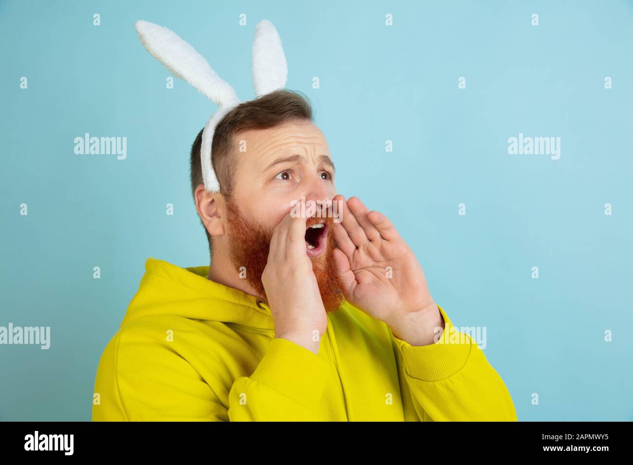 Appel, hurlement. Homme caucasien comme lapin de Pâques avec des vêtements décontractés lumineux sur fond bleu studio. Joyeuses salutations de pâques. Concept d'émotions humaines, d'expression faciale, de vacances. Copyspace. Banque D'Images