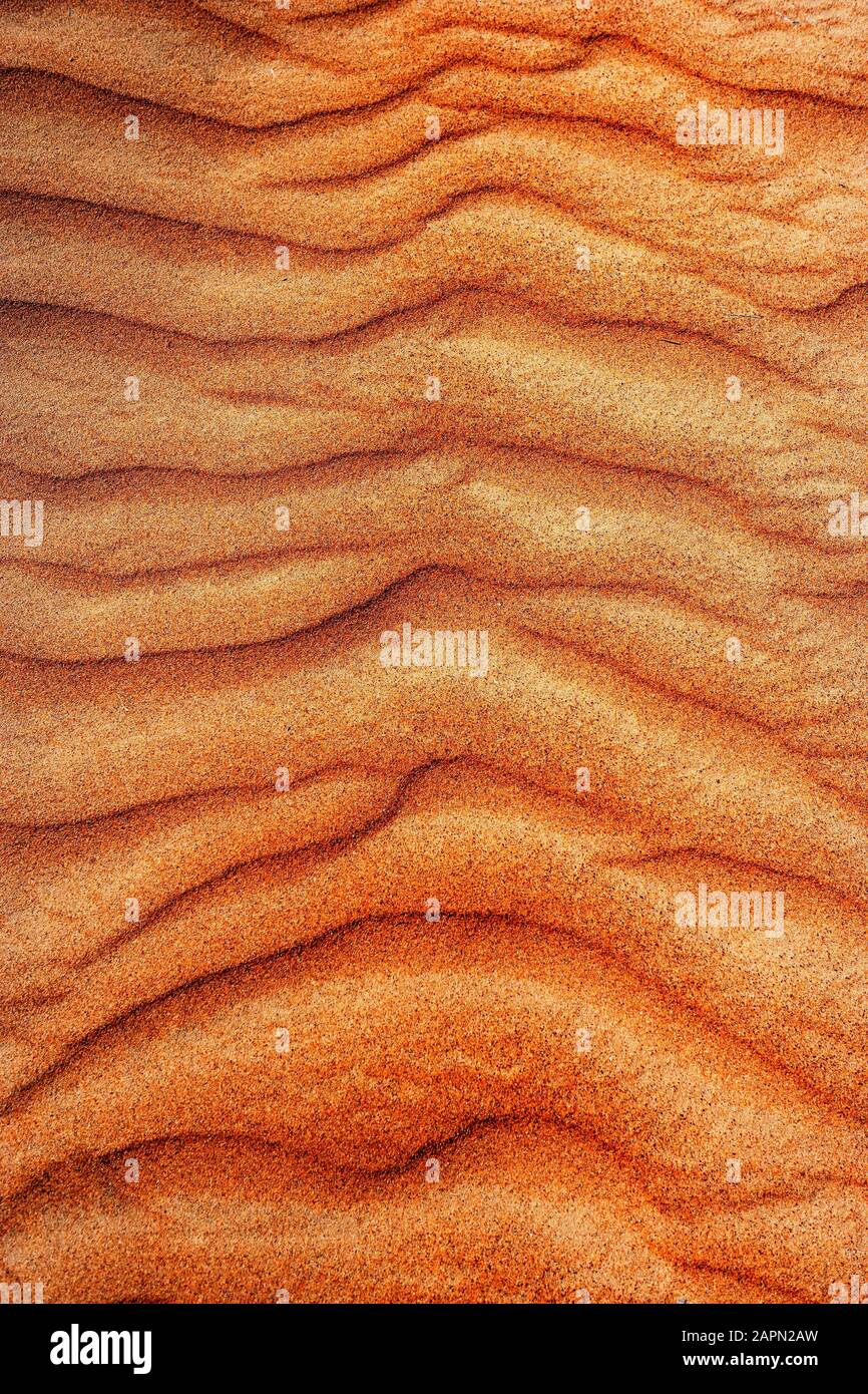 Structure des vagues, dune de sable, désert Rimal al Wahiba ou Wahiba Sands, Sultanat d'Oman Banque D'Images