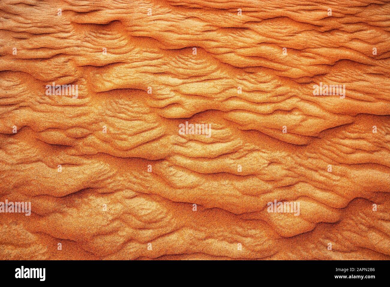 Structure des vagues, dune de sable, désert Rimal al Wahiba ou Wahiba Sands, Sultanat d'Oman Banque D'Images