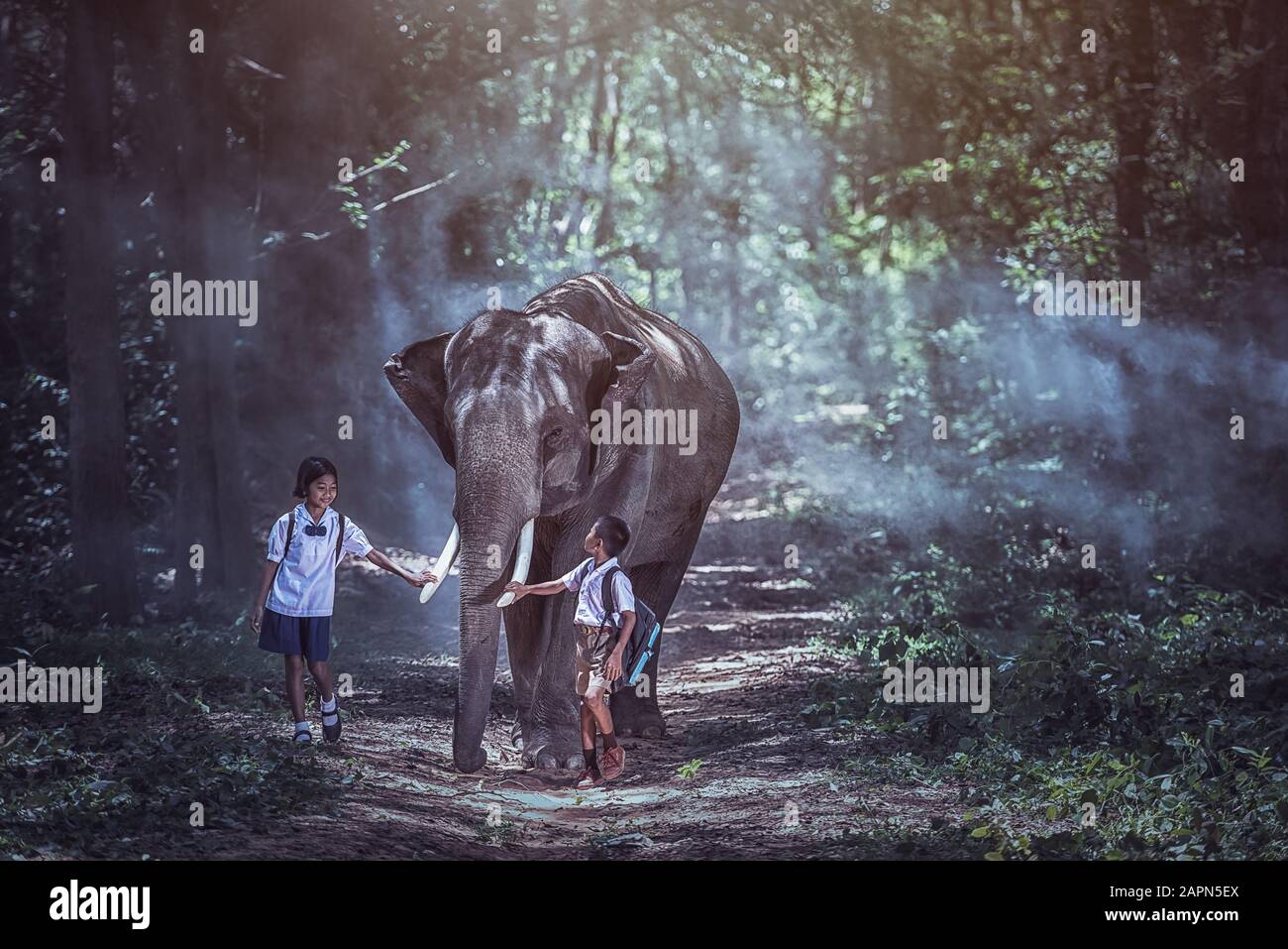 Étudiant thaïlandais et éléphant vont à l'école, province de Surin, Thaïlande. Banque D'Images