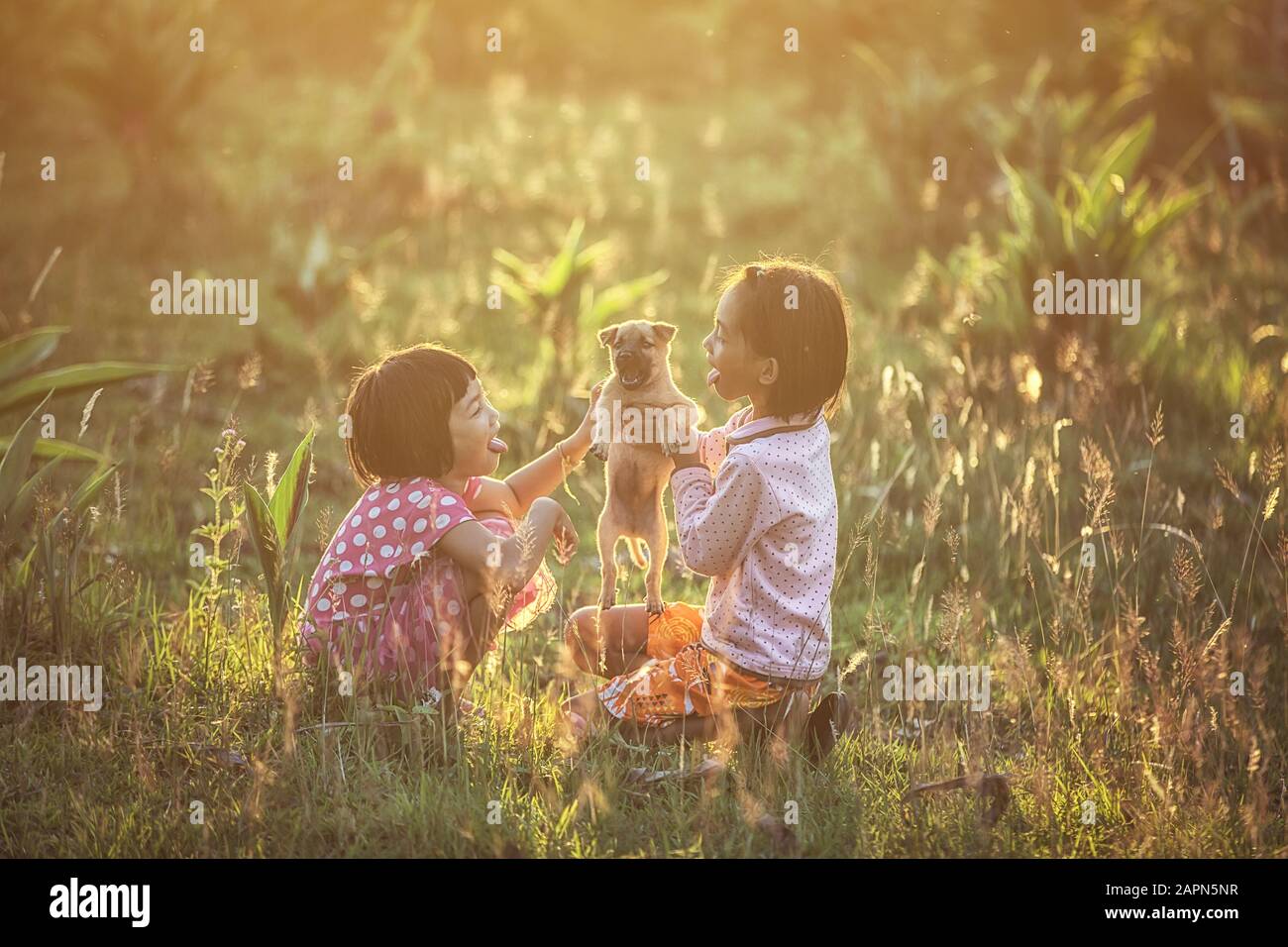 Enfants asiatiques filles jouant avec le chien dans le parc sous la lumière du soleil, Thaïlande Campagne Banque D'Images
