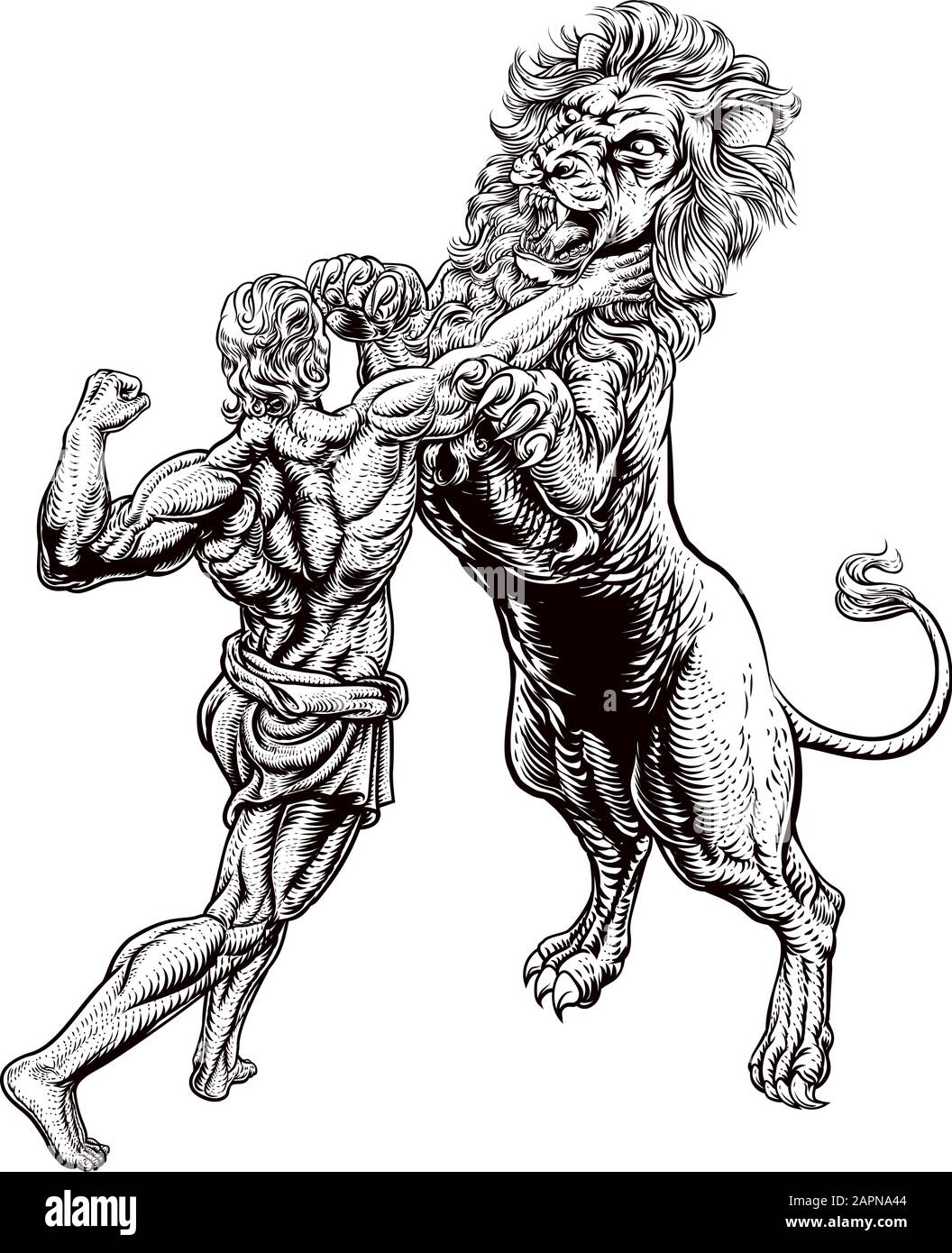 Hercules Fighting The Nemean Lion Illustration de Vecteur