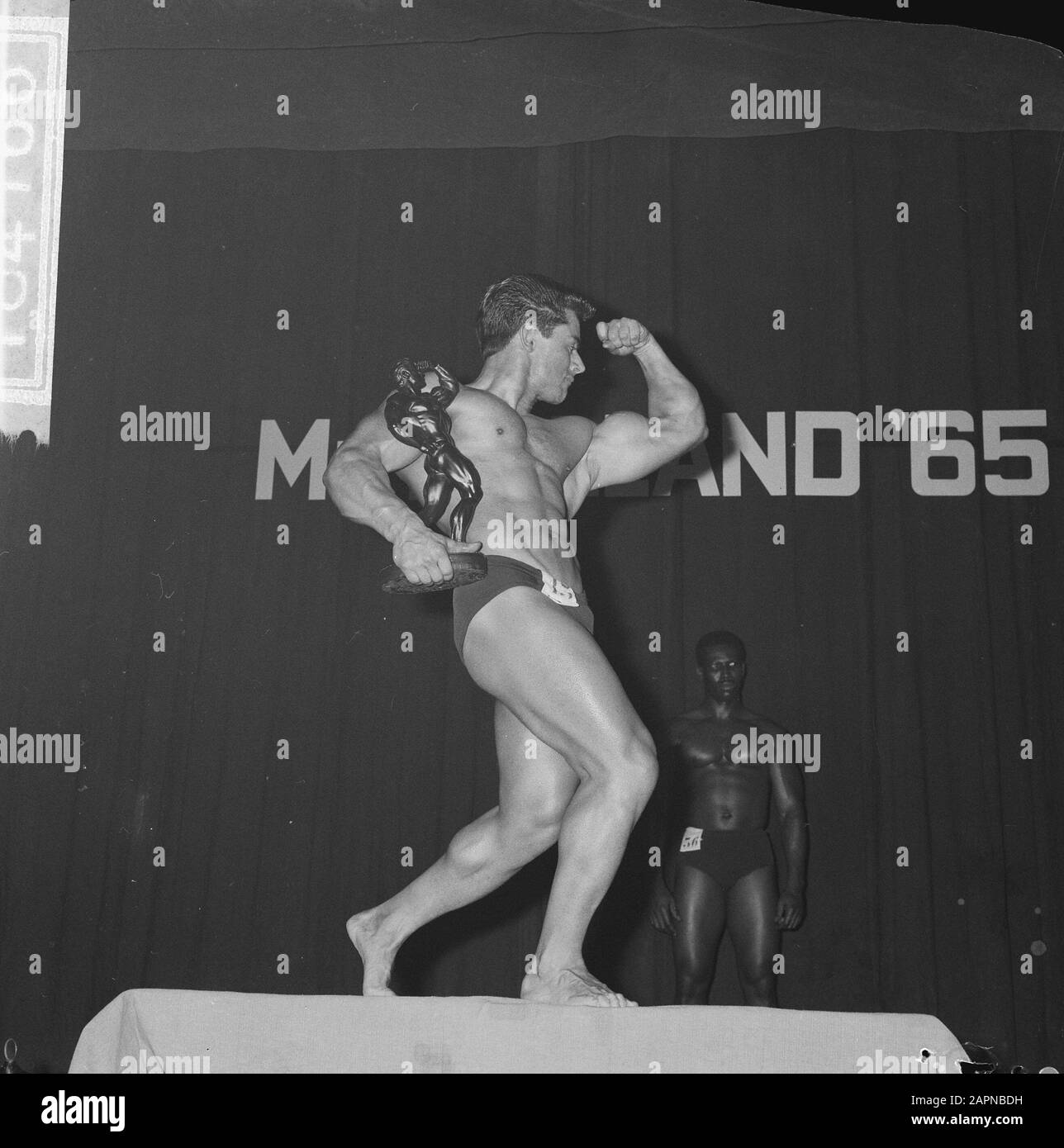M. Holland-Elections au Doelenzaal d'Amsterdam vainqueur du mr. Holland élections, l'Italien Guiseppe Deiana vivant aux Pays-Bas Date: 7 novembre 1965 lieu: Amsterdam, Noord-Holland mots clés: Culturisme, concours Nom personnel: Deiana, Guiseppe Banque D'Images