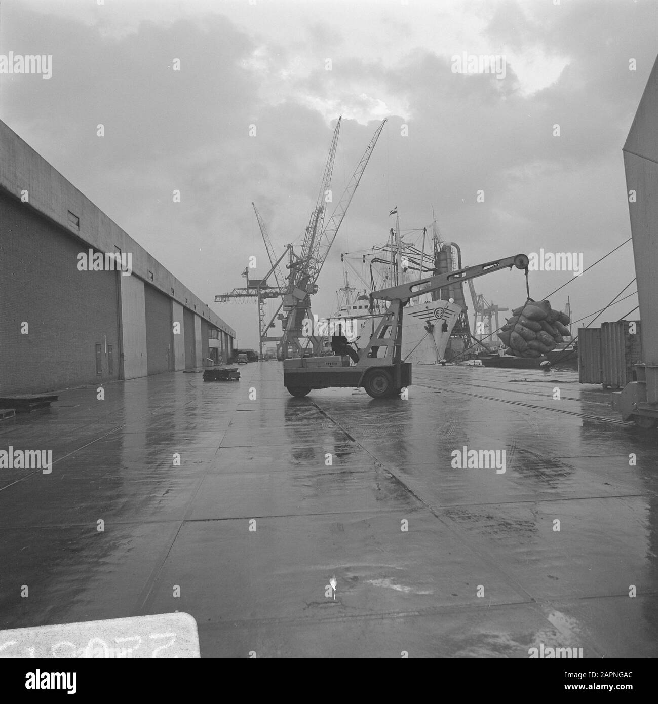 Port de Rotterdam chargement et déchargement de navires Date : 7 février 1969 lieu : Rotterdam, Zuid-Holland mots clés : navires, ports, cargaisons Banque D'Images