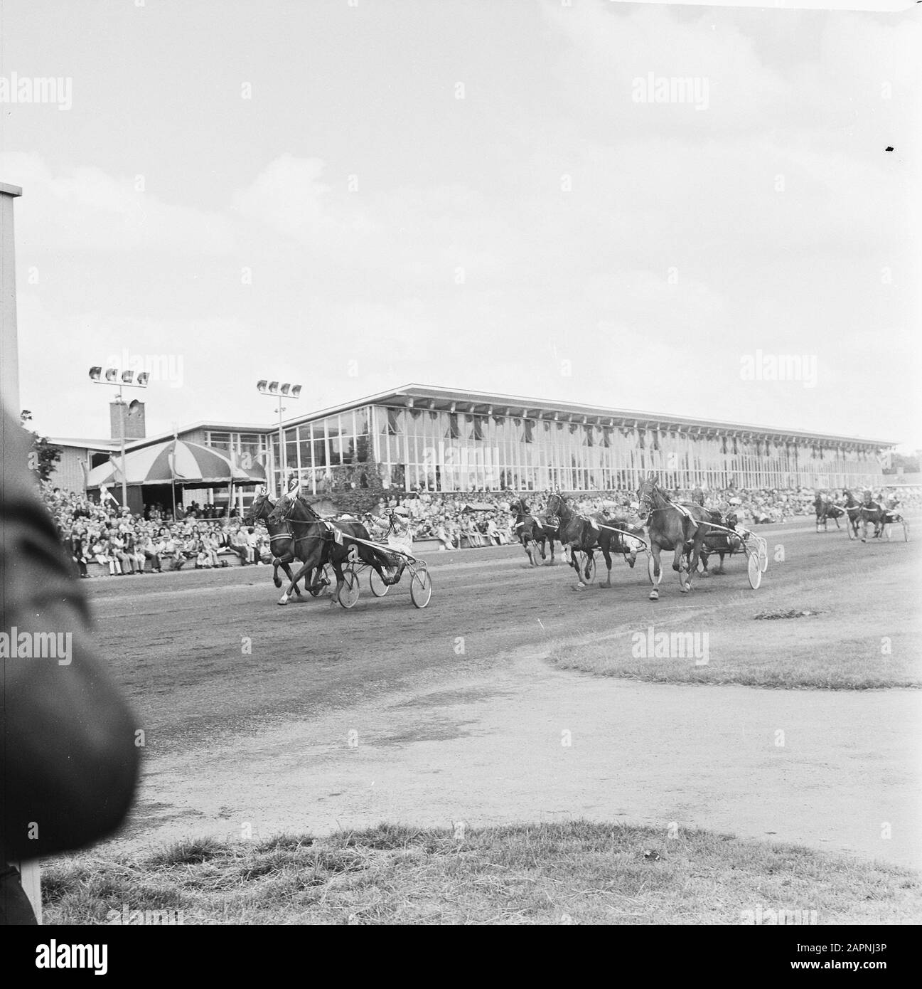 Draverij om Gouden Whip à Hilversum, Jello met Van der Togt passe d'abord sur la finale Date: 8 juillet 1973 lieu: Hilversum mots clés: Trotting et course Banque D'Images