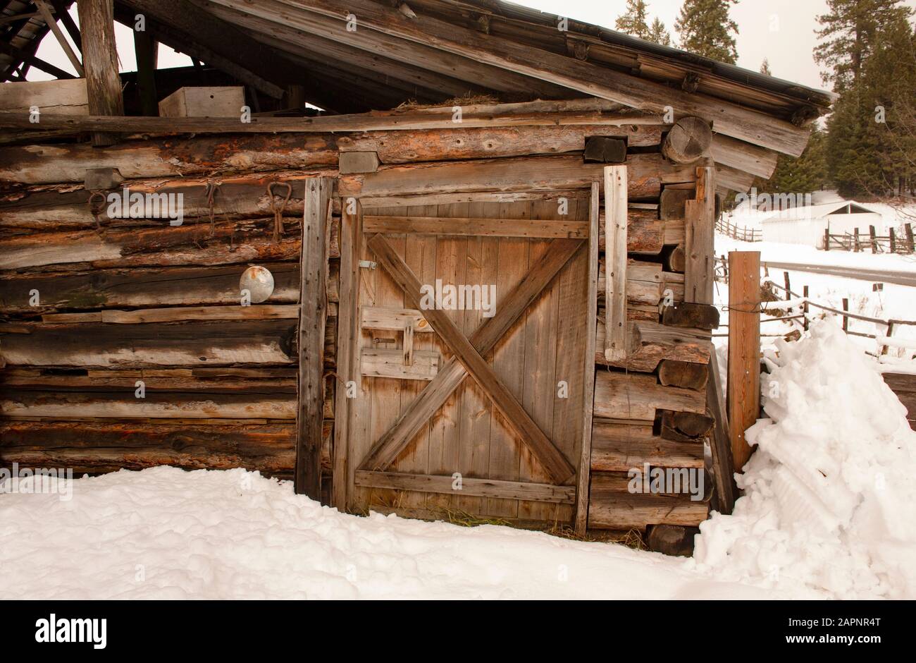 Une porte en bois sur une ancienne grange en bois sur une ferme de bétail, le long de Killbrenan Lake Road, à l'extérieur de Troy, Montana. Banque D'Images
