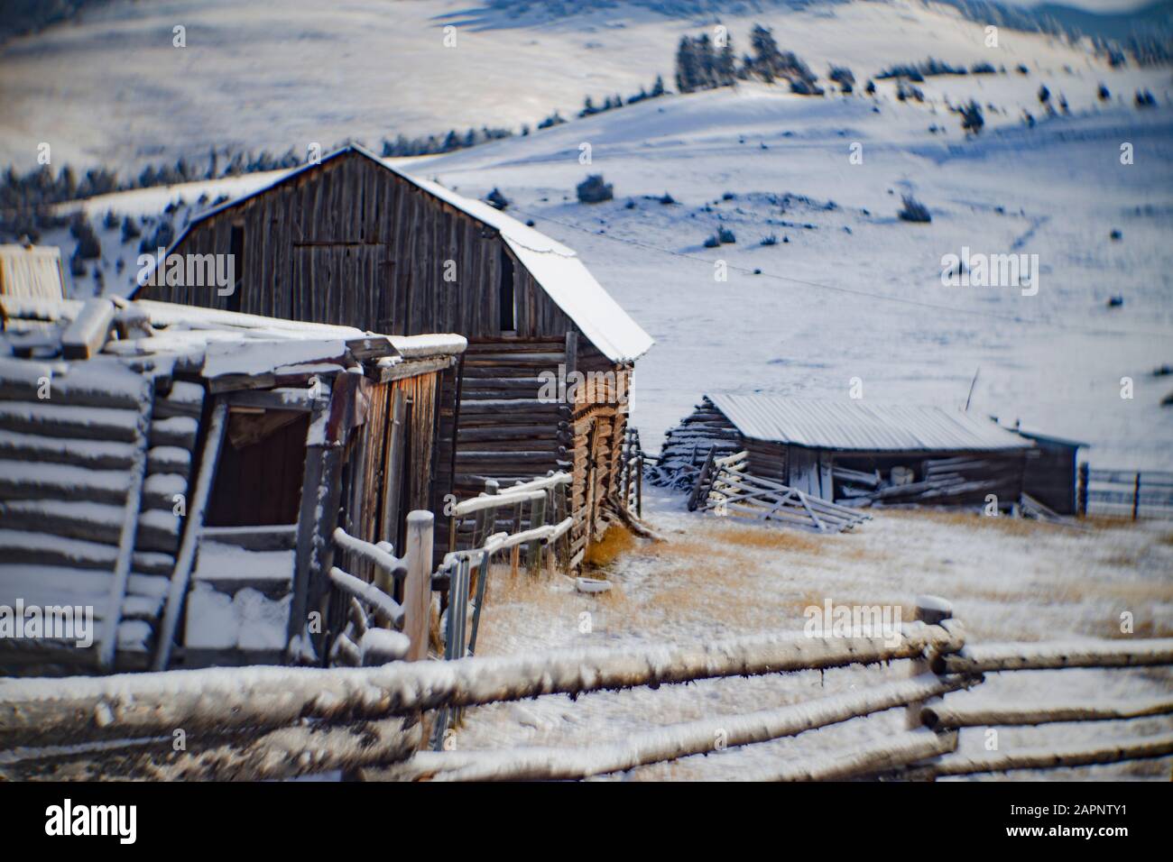 Une ancienne grange en bois et des bâtiments d'une ancienne propriété pionnière, au-dessus de Grid Creek, sur le Boomer Ranch. Grid Creek est Un Affluent de Flint Creek et est Banque D'Images