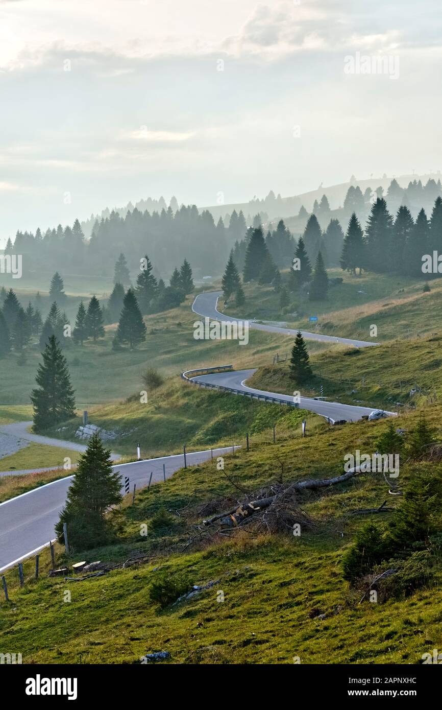 Route sinueuse à Coe Pass. Folgaria, Cimbra Alp, Province De Trente, Trentin-Haut-Adige, Italie, Europe. Banque D'Images