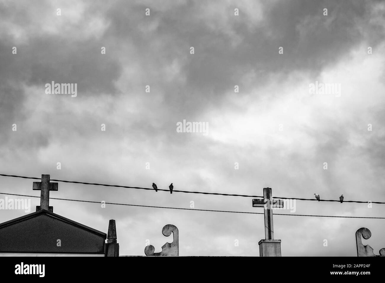 Oiseaux sur fil et tombes Banque D'Images