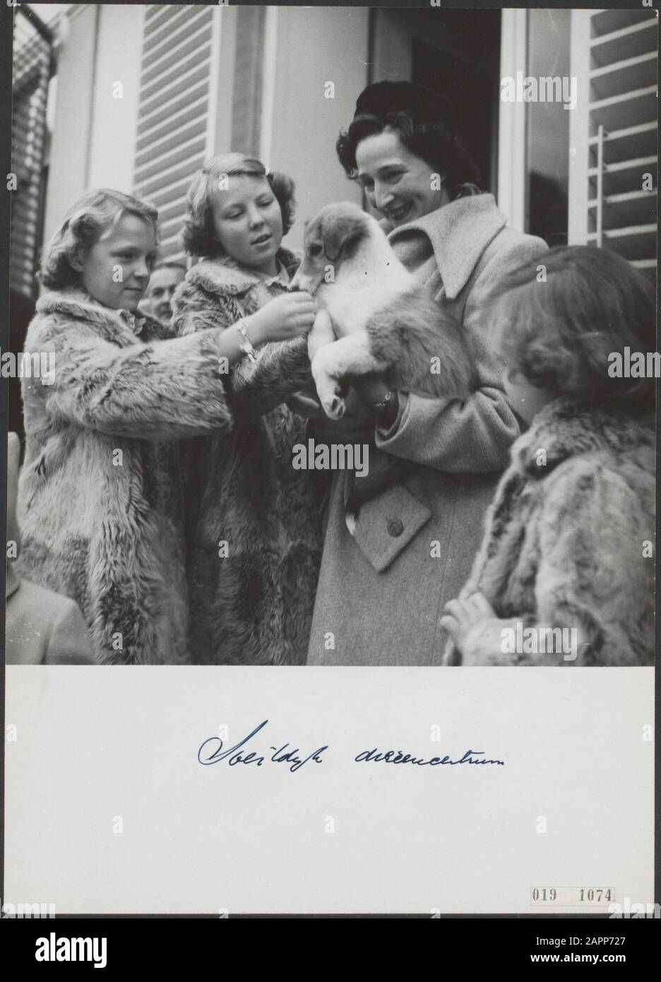 Maison royale, princesses, chiens, Beatrix, princesse, Irene, princesse, Margriet, princesse, Utrecht Date : non dédrée lieu : Soestdijk, Utrecht mots clés : chiens, maison royale, princesses Nom personnel : Beatrix, princesse, Irene, princesse, Daisy, princesse Banque D'Images