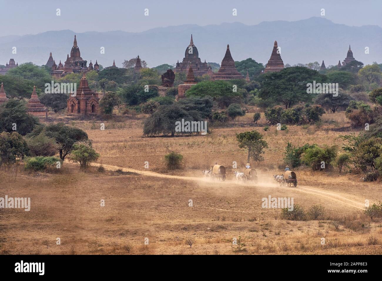 Incroyable célèbre voyage et paysage scène des temples et des calèches anciens au coucher du soleil à Bagan, au Myanmar. Haut de la meilleure destination de l'Asie. Banque D'Images