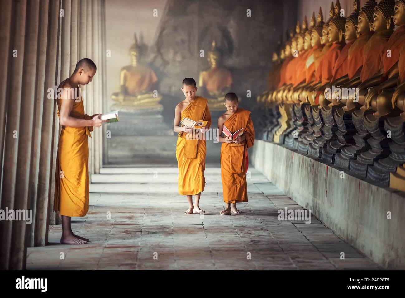 Livre de lecture de moines novices à l'intérieur du monastère dans la province d'Ayutthaya, Thaïlande Banque D'Images