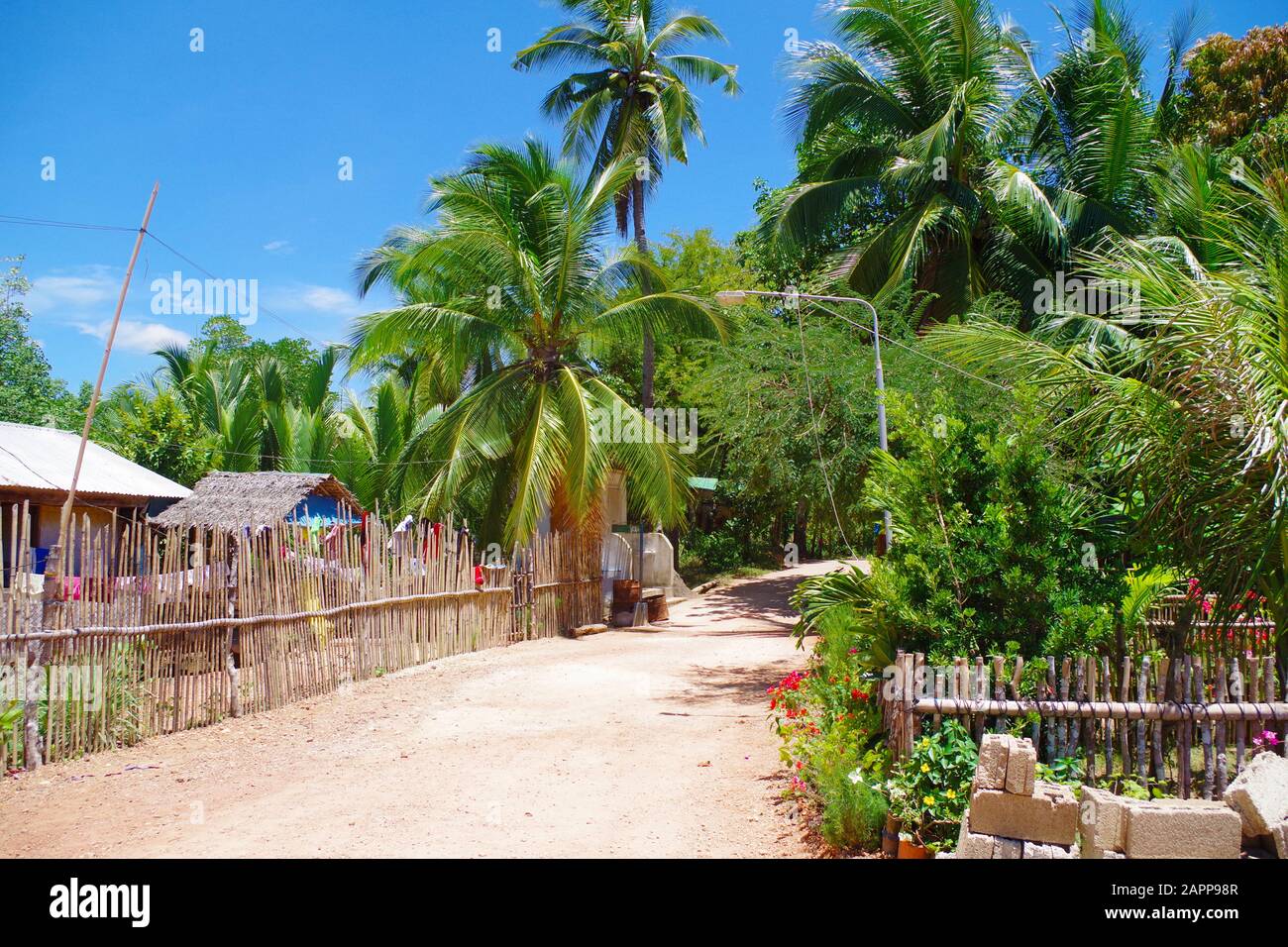 Un petit village sur une belle île aux Philippines. Plusieurs cottages en bois (maisons), entourés de courtes clôtures en bois et de nombreux palmiers. Banque D'Images
