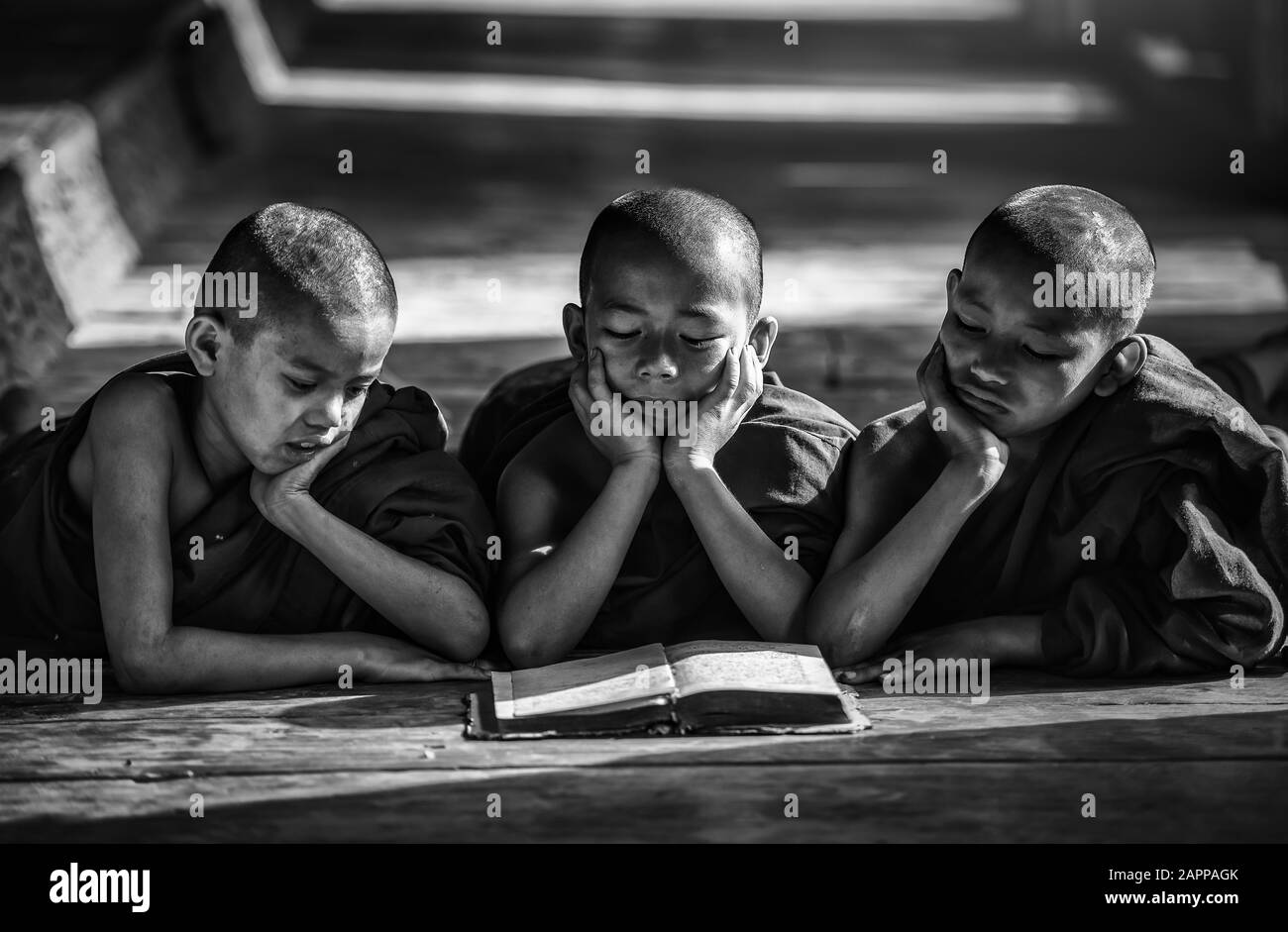 Livre de lecture de moine novice,dans le monastère, Bagan, Myanmar (ton noir et blanc) Banque D'Images