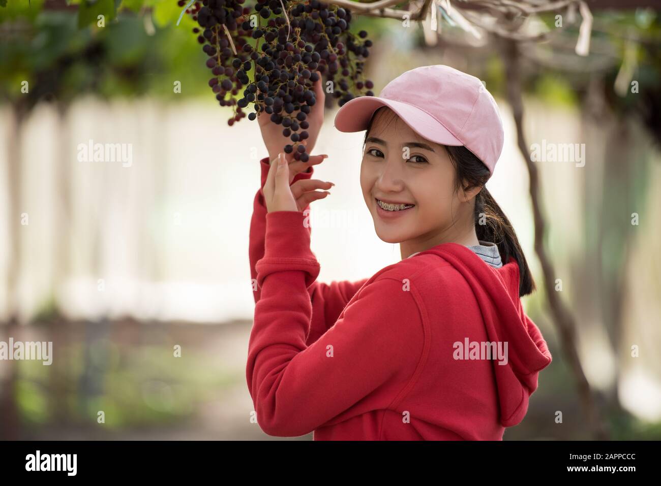 Jeune femme tenant une grappe de raisins Banque D'Images