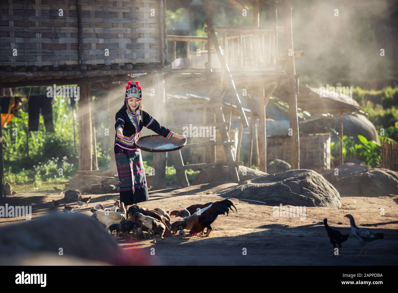 Des filles asiatiques nourrissant des poulets à la campagne du Laos Banque D'Images
