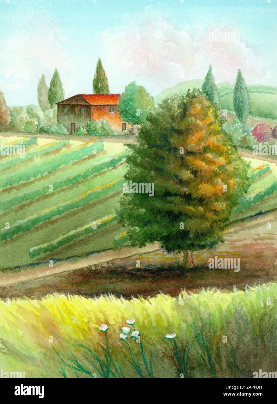 Paysage aquarelle représentant un paysage de campagne avec un vignoble et  un arbre au premier plan Photo Stock - Alamy