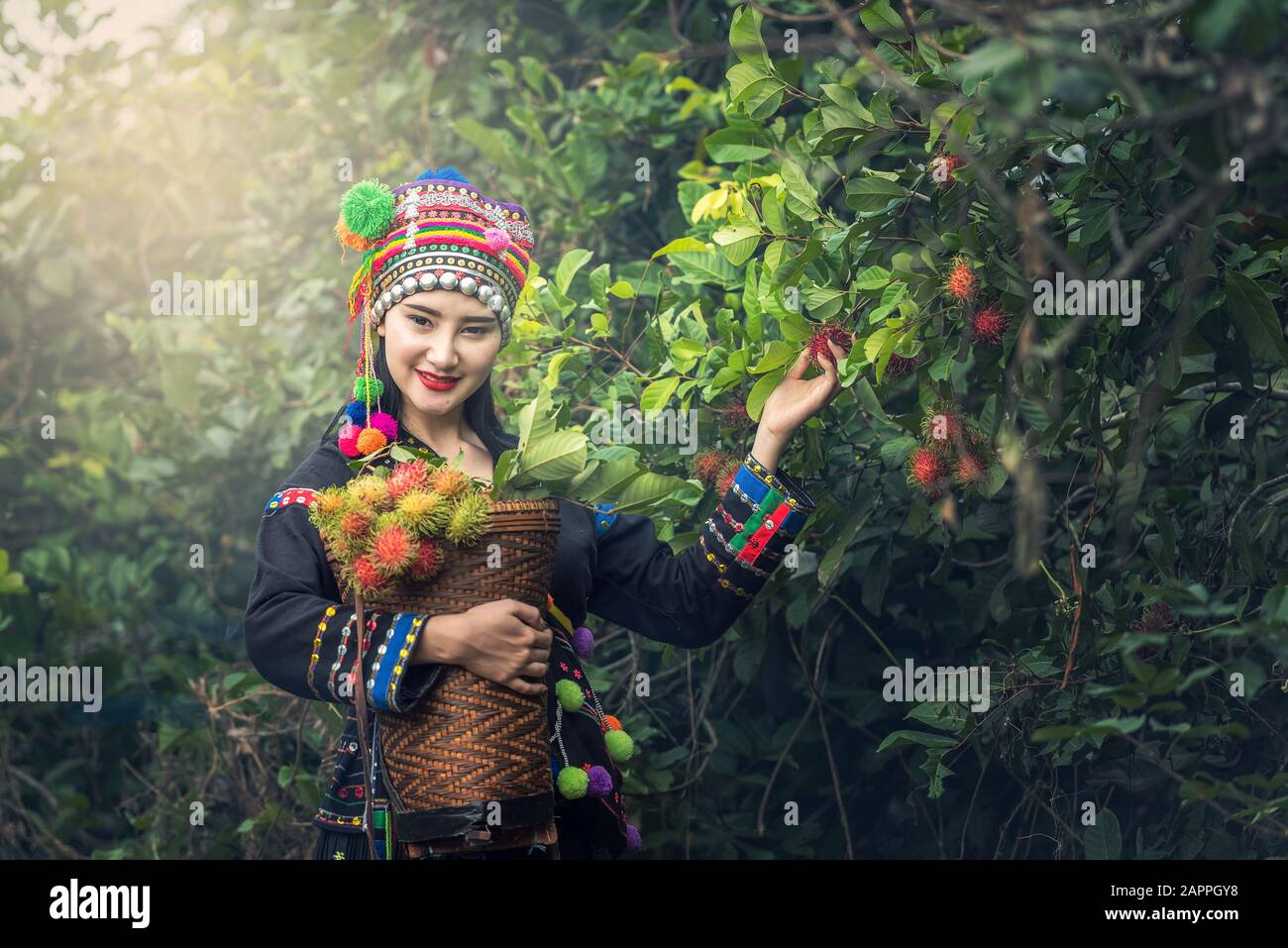 Karens fille avec des vêtements traditionnels dans la plantation de ramboutan Banque D'Images