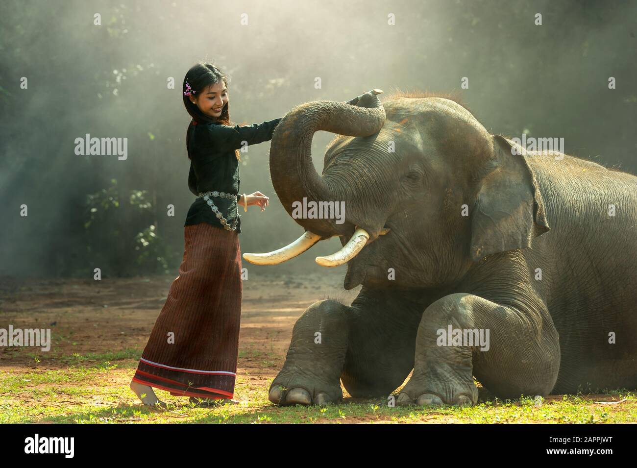Éléphant avec fille asiatique Banque D'Images