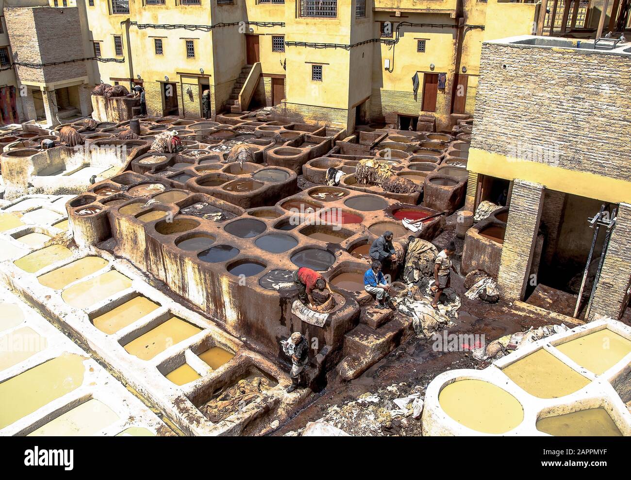 Homme travaillant comme Tanner dans les pots de teinture dans les tanneries de cuir vues de la terrasse de Tanneurs dans l'ancienne médina, Fes el Bali, à Fez, Moro Banque D'Images