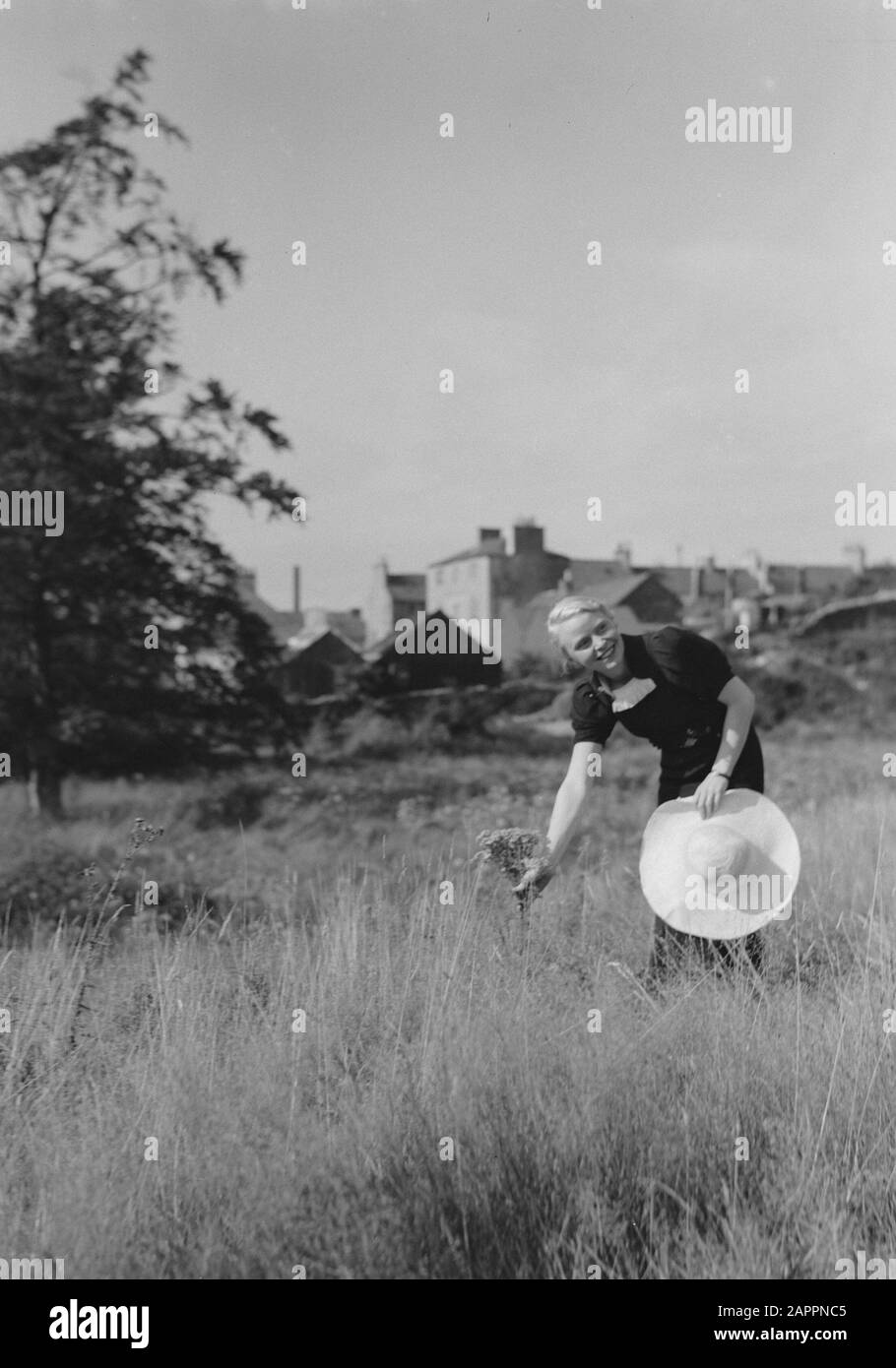 Ecosse - Mme Dalrymple Mme. Dalrymple choisit des fleurs avec un chapeau de soleil dans sa main Date: 1934 lieu: Glasgow, Grande-Bretagne, Écosse mots clés: Femmes Nom personnel: Dalrymple, W.B. Banque D'Images