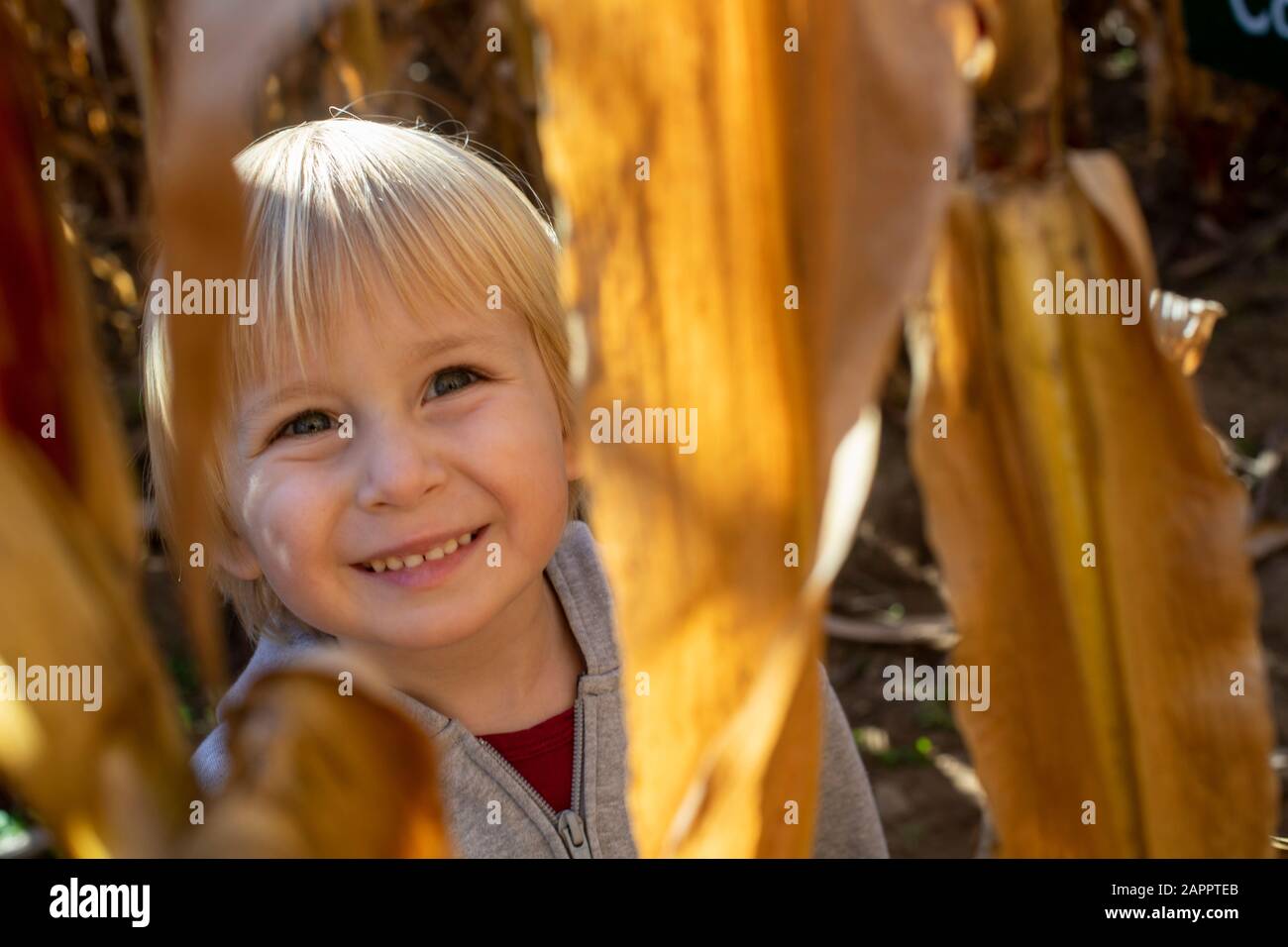 Très petit enfant qui traverse des feuilles brunes sur le terrain Banque D'Images