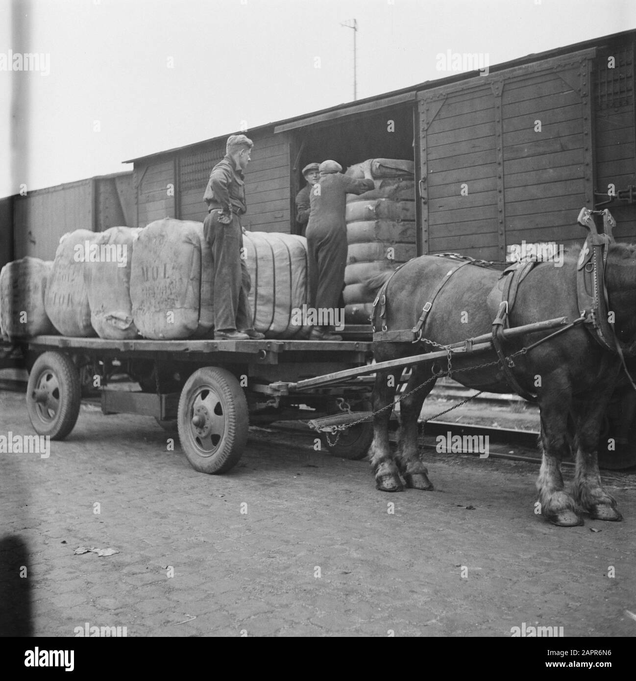 Wolimport de l'Amérique du Sud et du Nord Date : 1945 mots clés : textile, seconde Guerre mondiale Banque D'Images