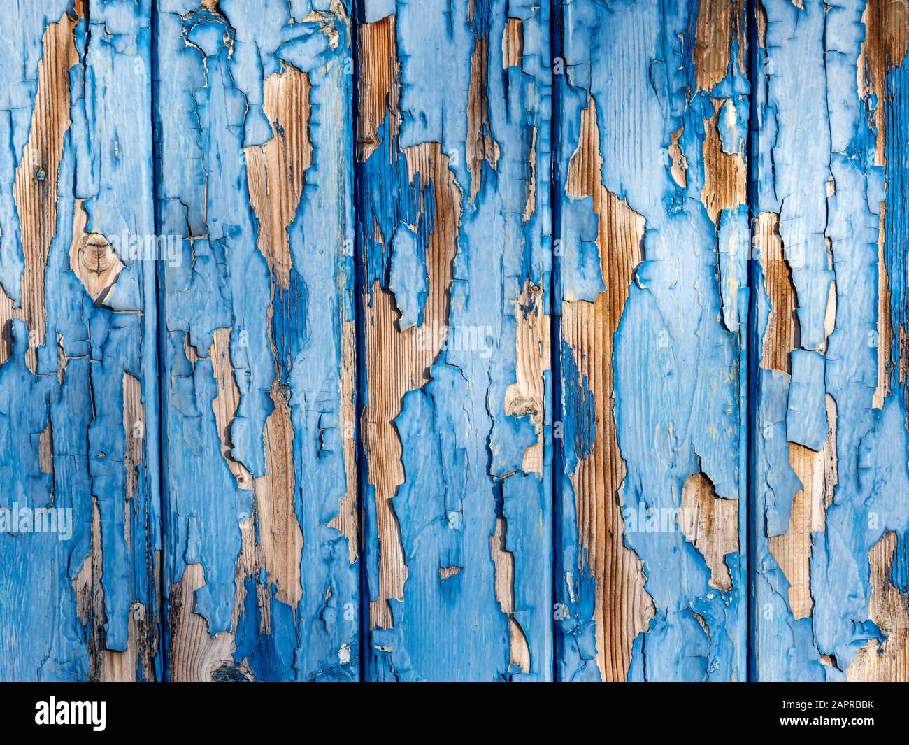 Mur bleu en bois qui est résisté Banque D'Images