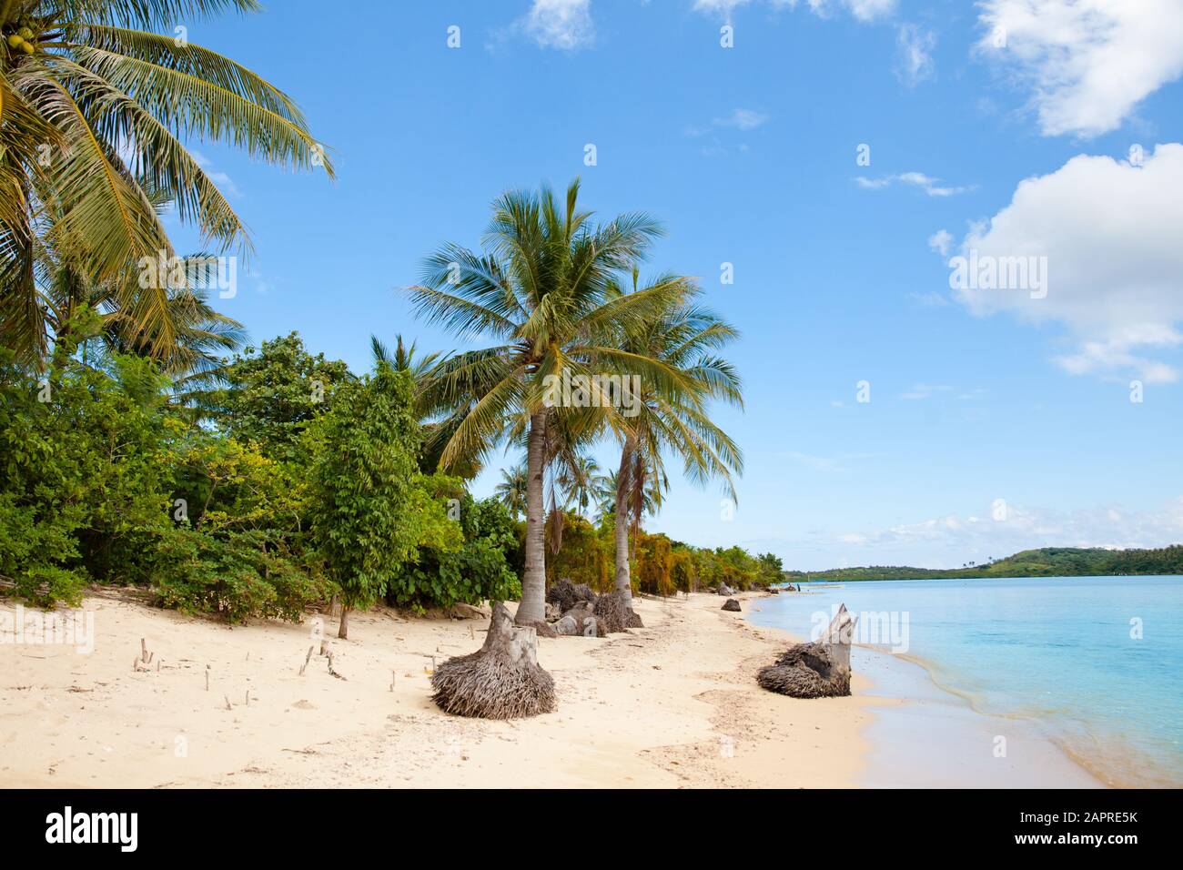 Plage De Sable Blanc Avec Palmiers Banque d'image et photos - Alamy
